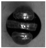 Machines 13 00154 i025