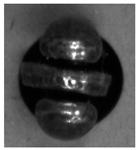 Machines 13 00154 i027