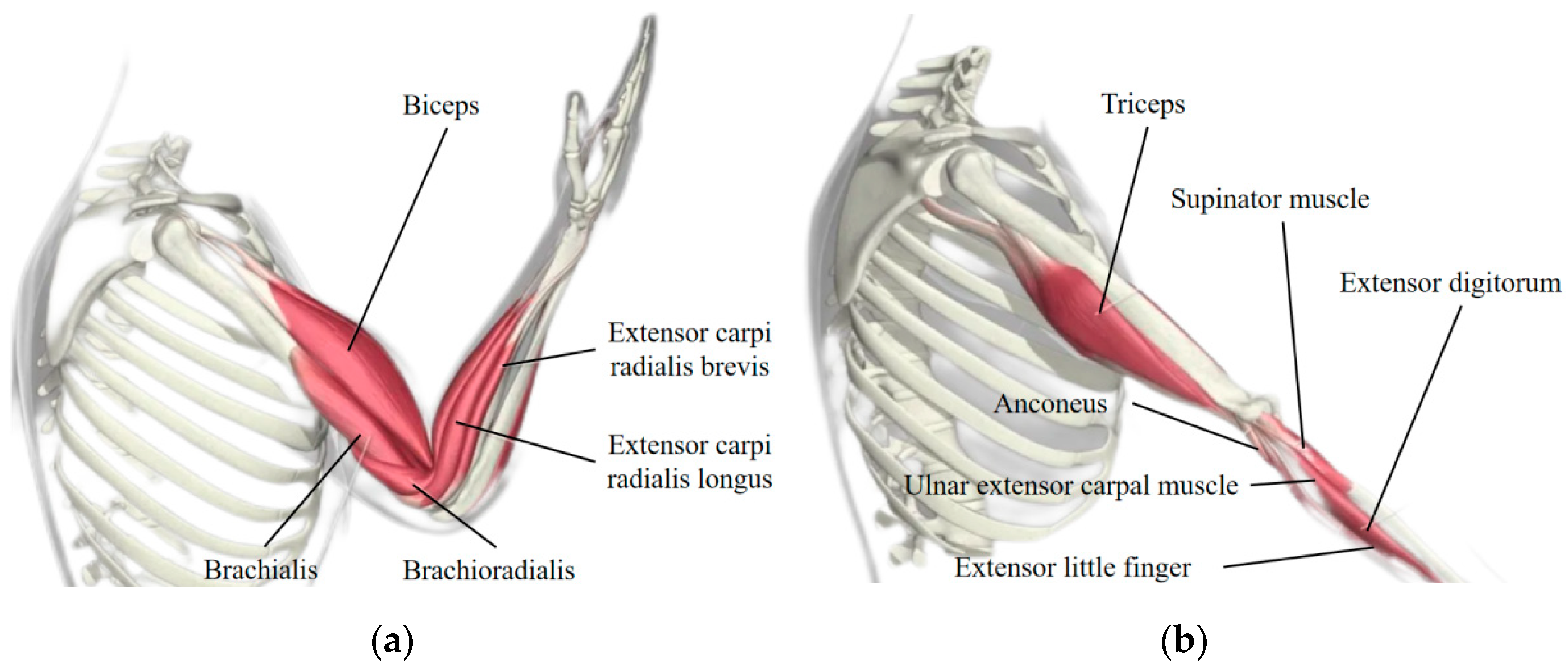 Machines 13 00168 g001
