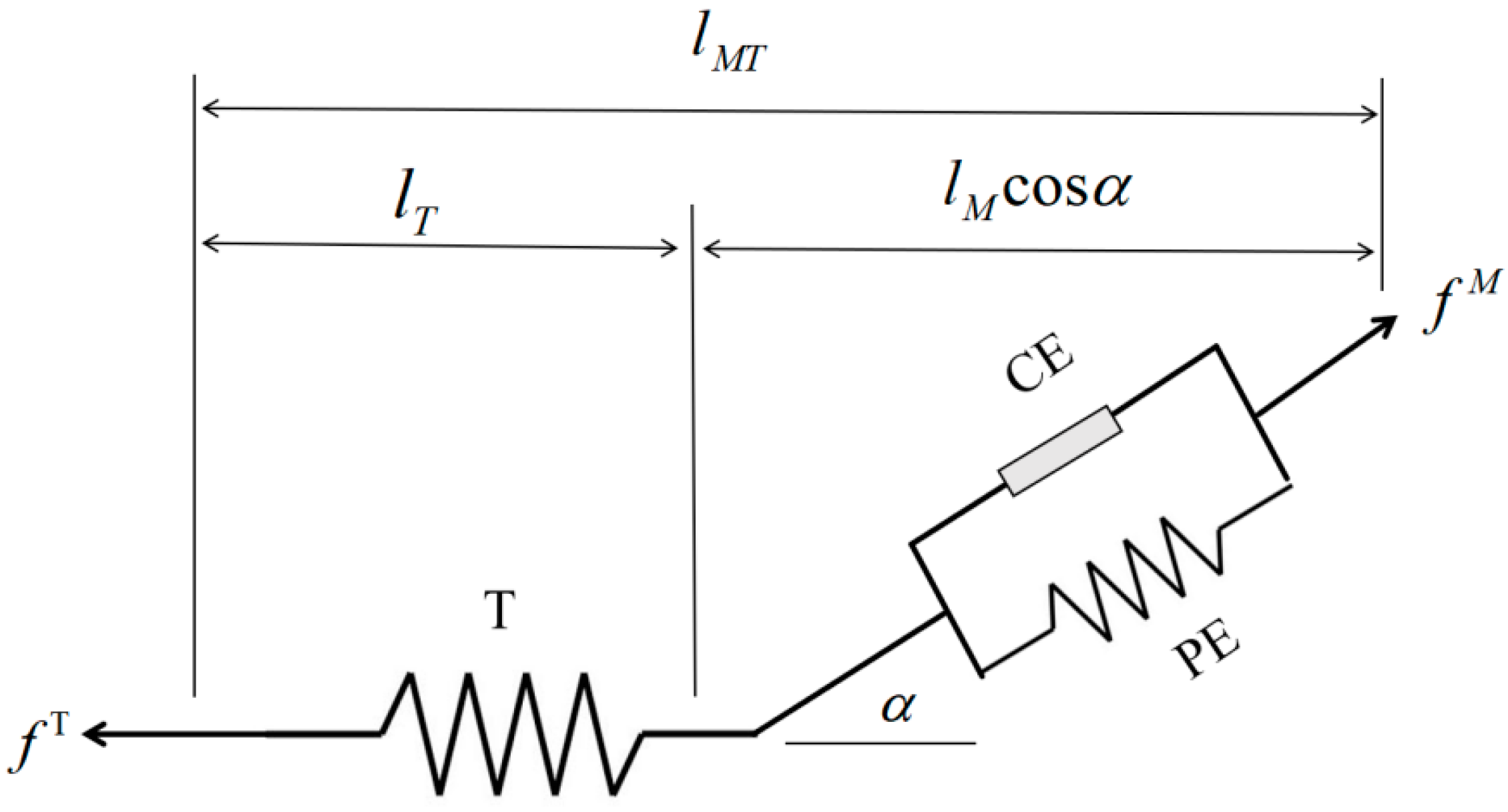 Machines 13 00168 g006