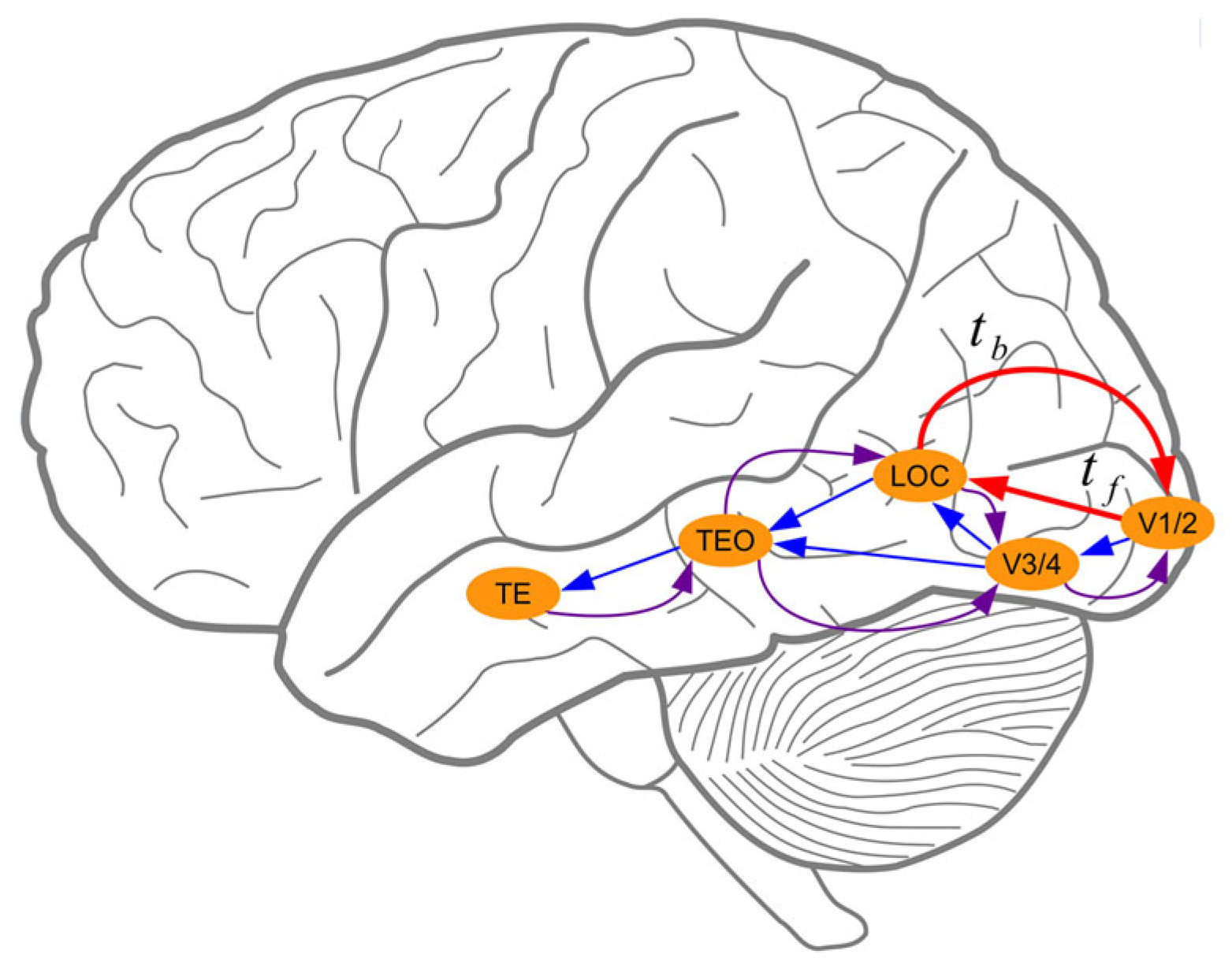 Machines 13 00179 g005