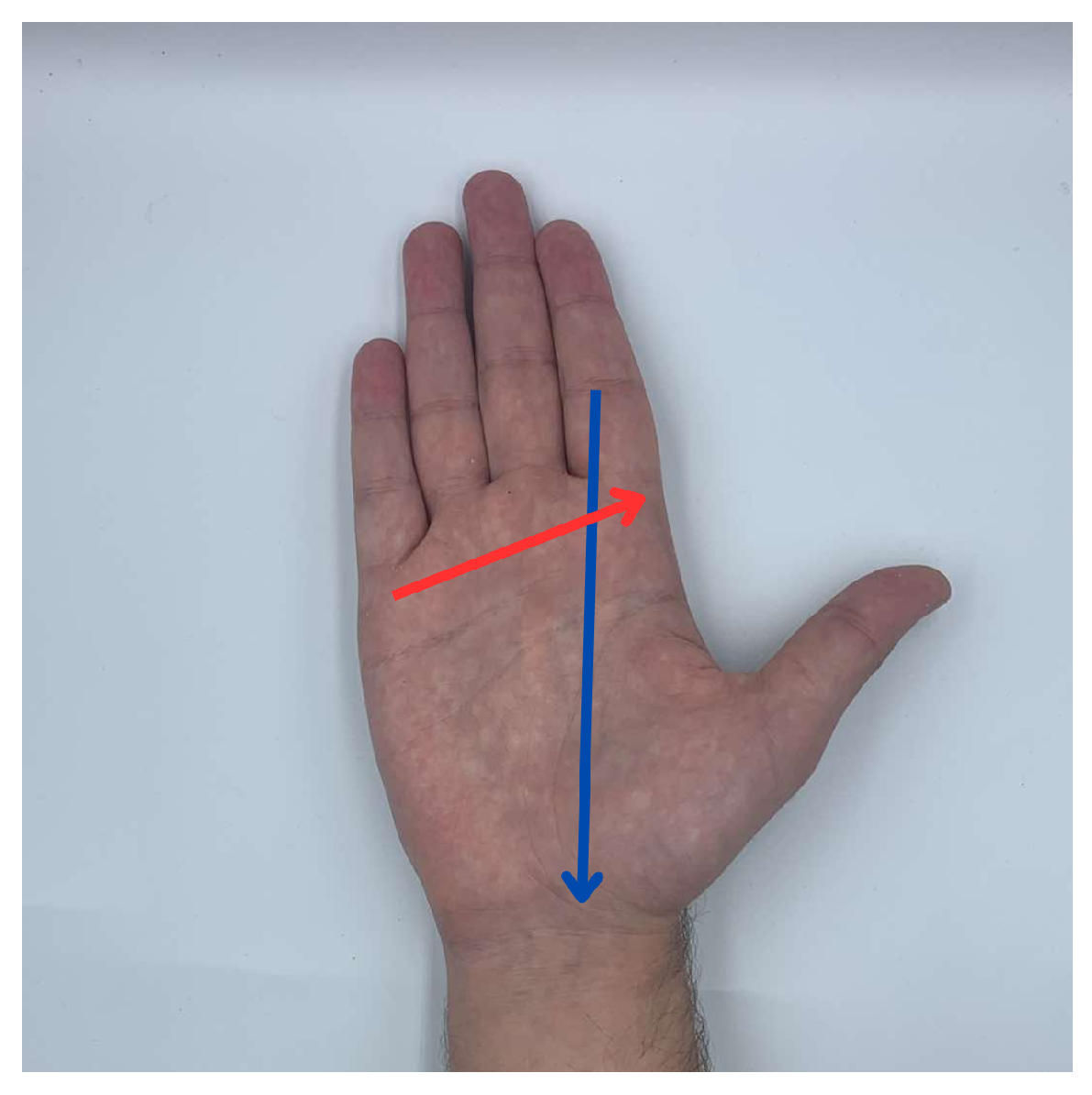 Machines 13 00182 g004