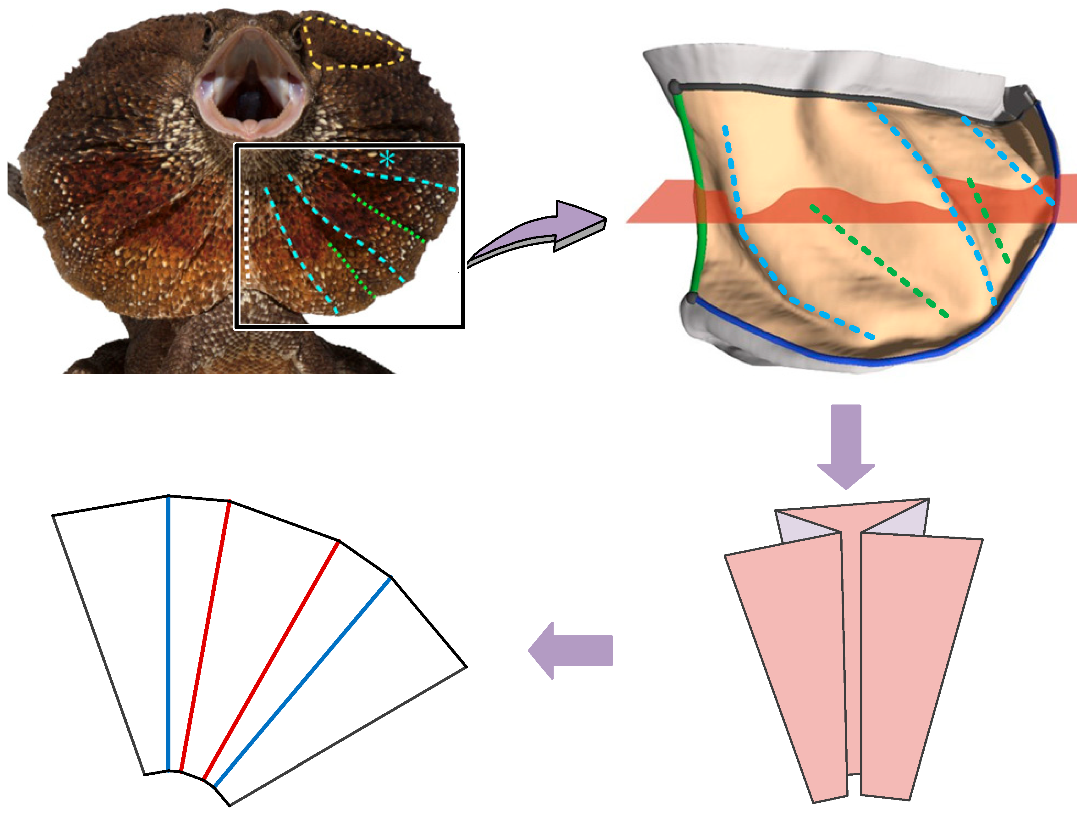 Machines 13 00240 g004