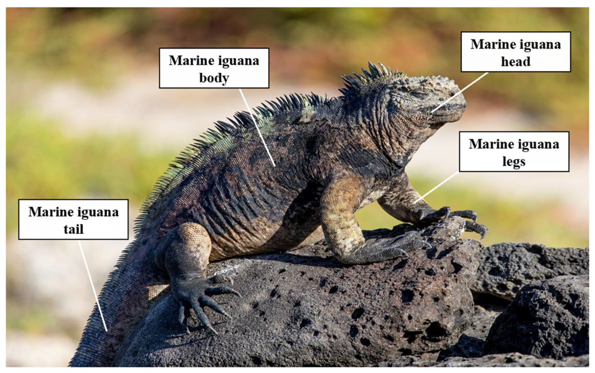 Machines 13 00505 g001