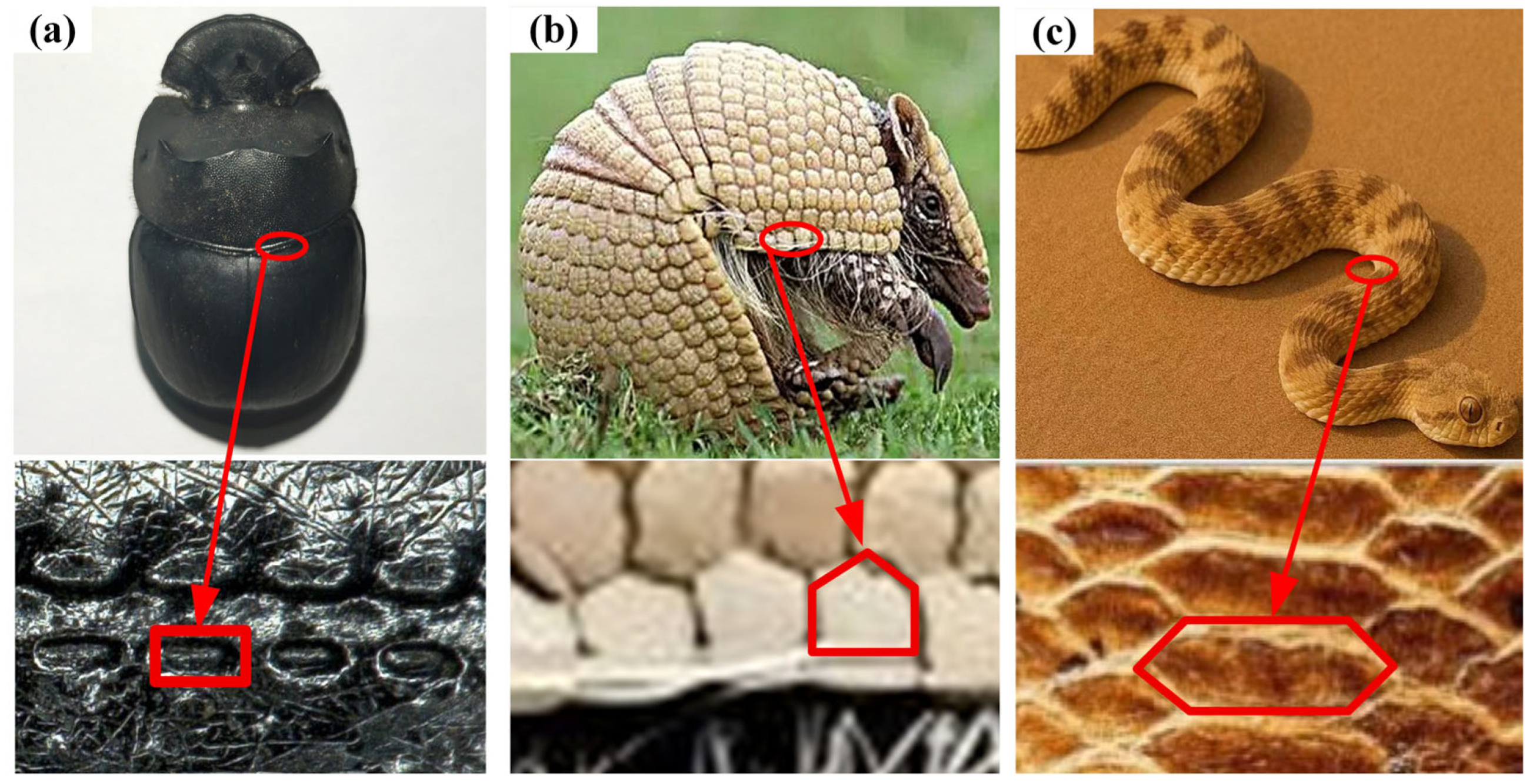 Machines 13 00597 g001