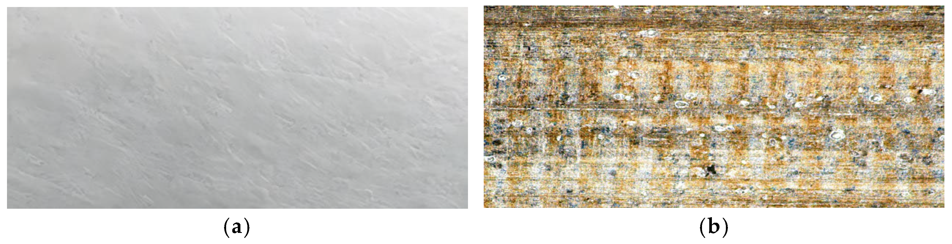 Machines 13 00597 g014a