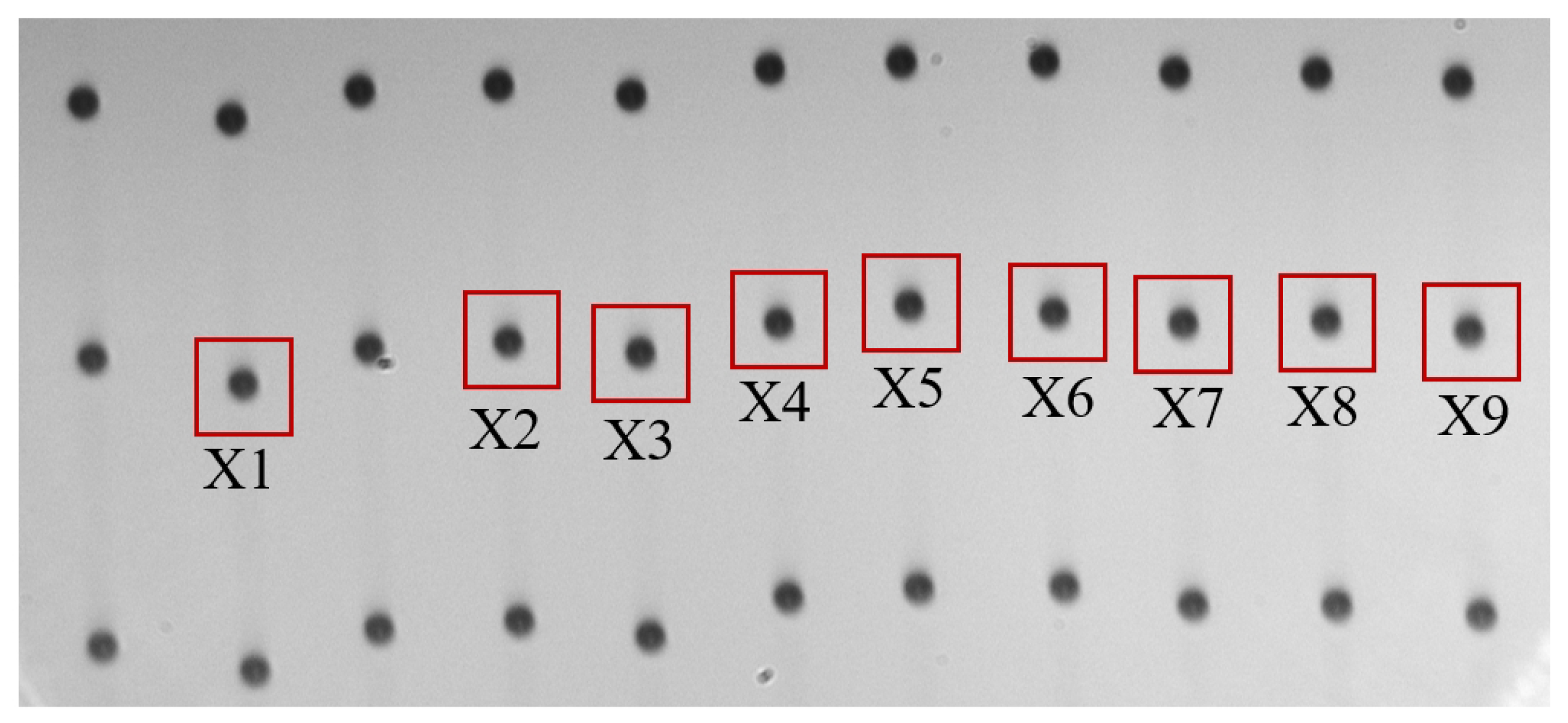 Machines 13 00657 g006