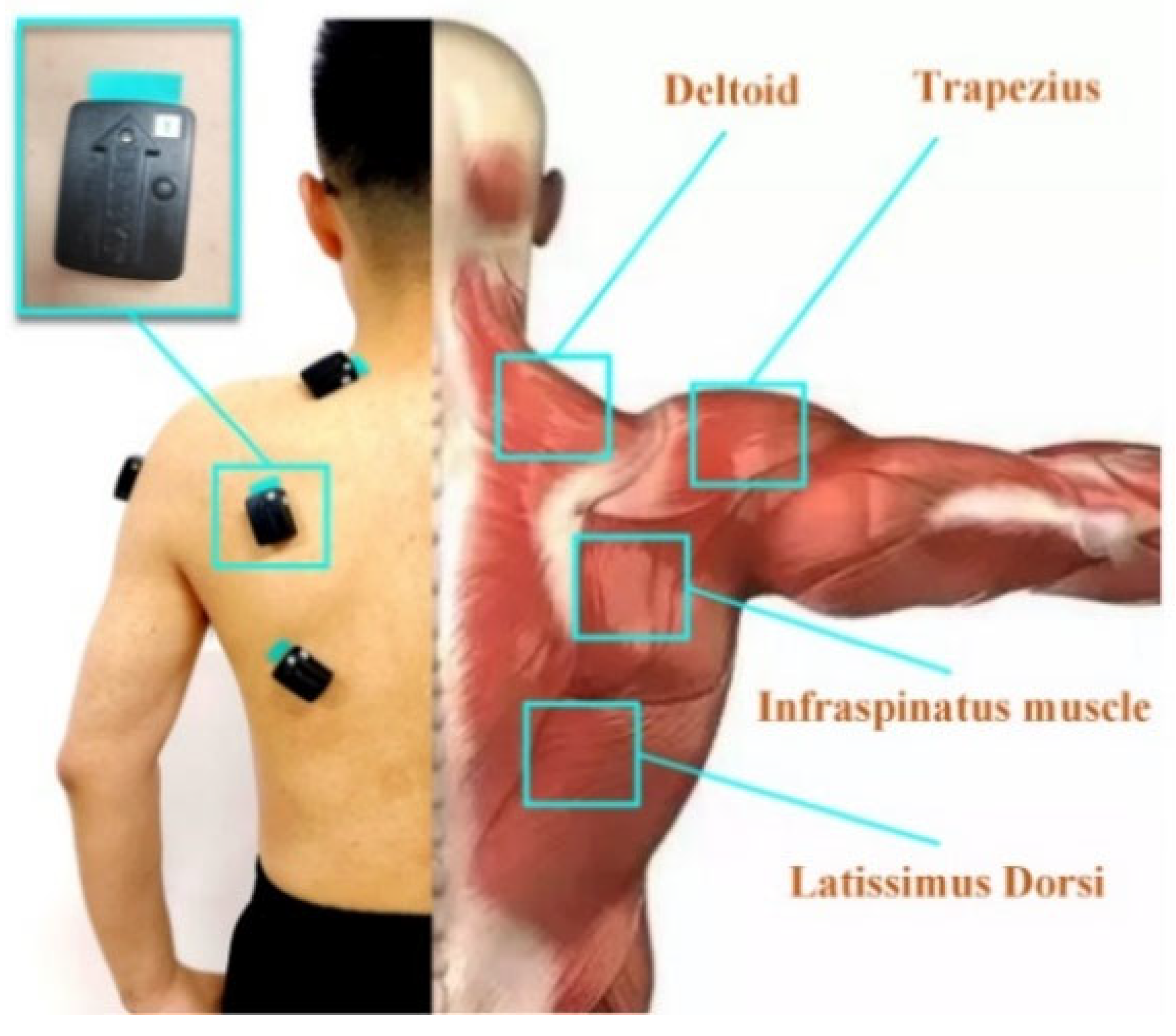 Machines 13 00748 g005