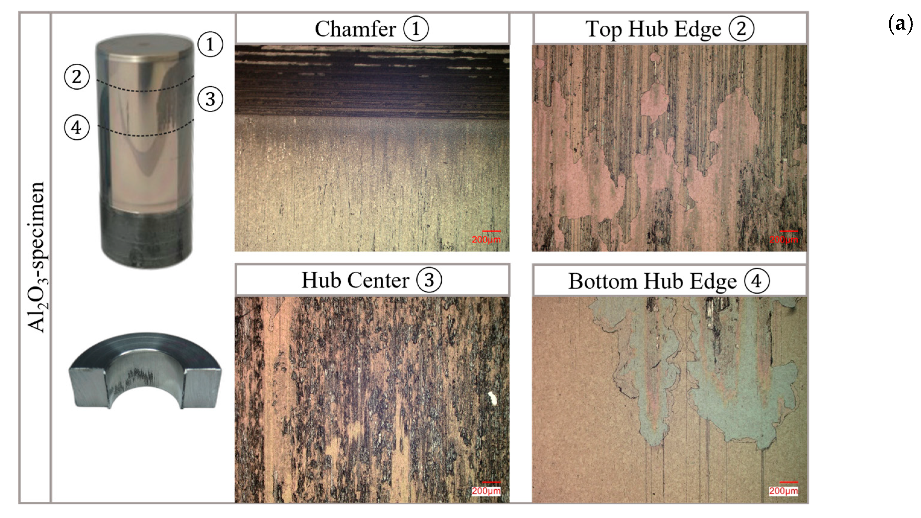 Machines 13 00776 g005a