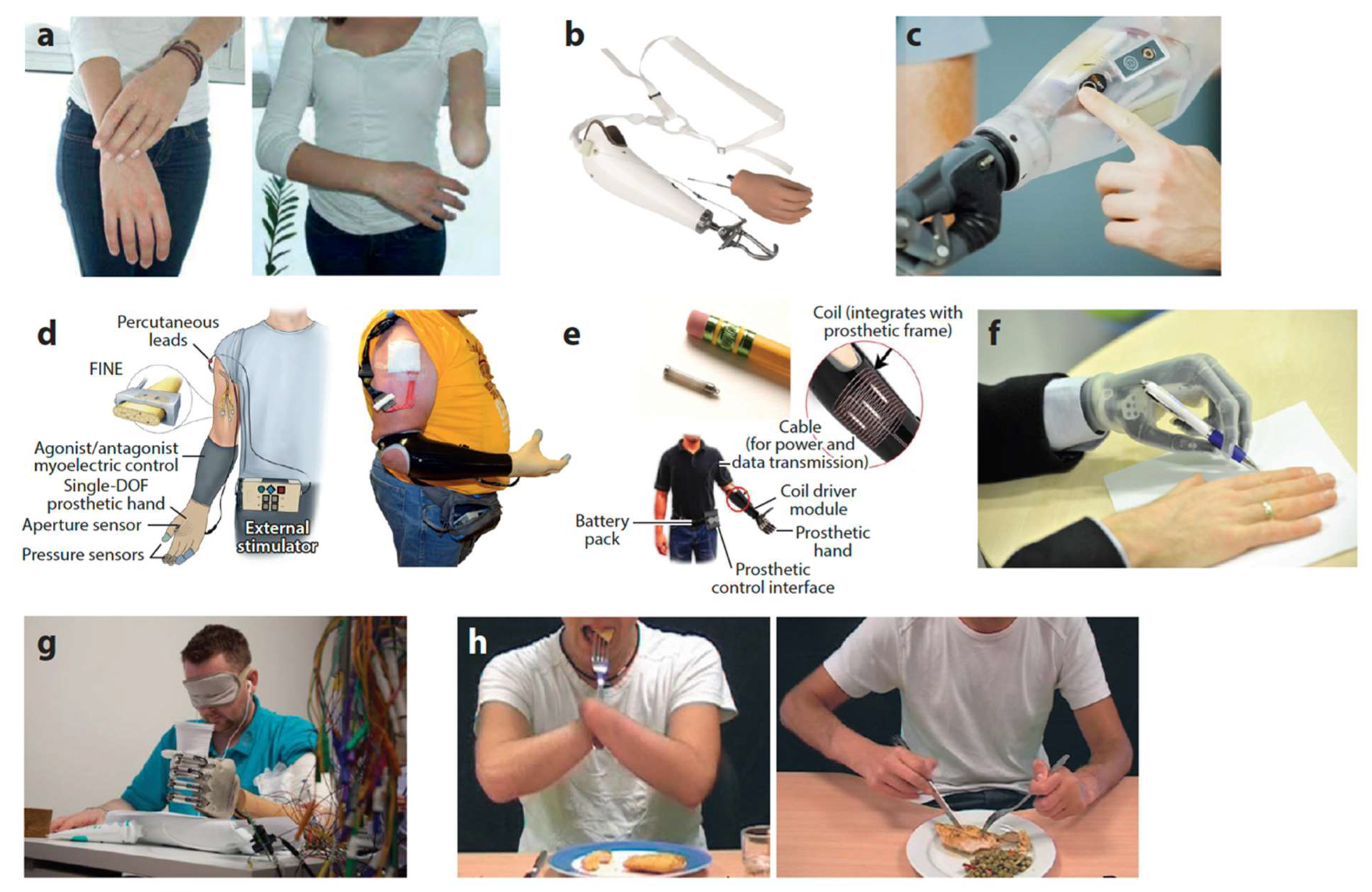 Machines 13 00804 g001