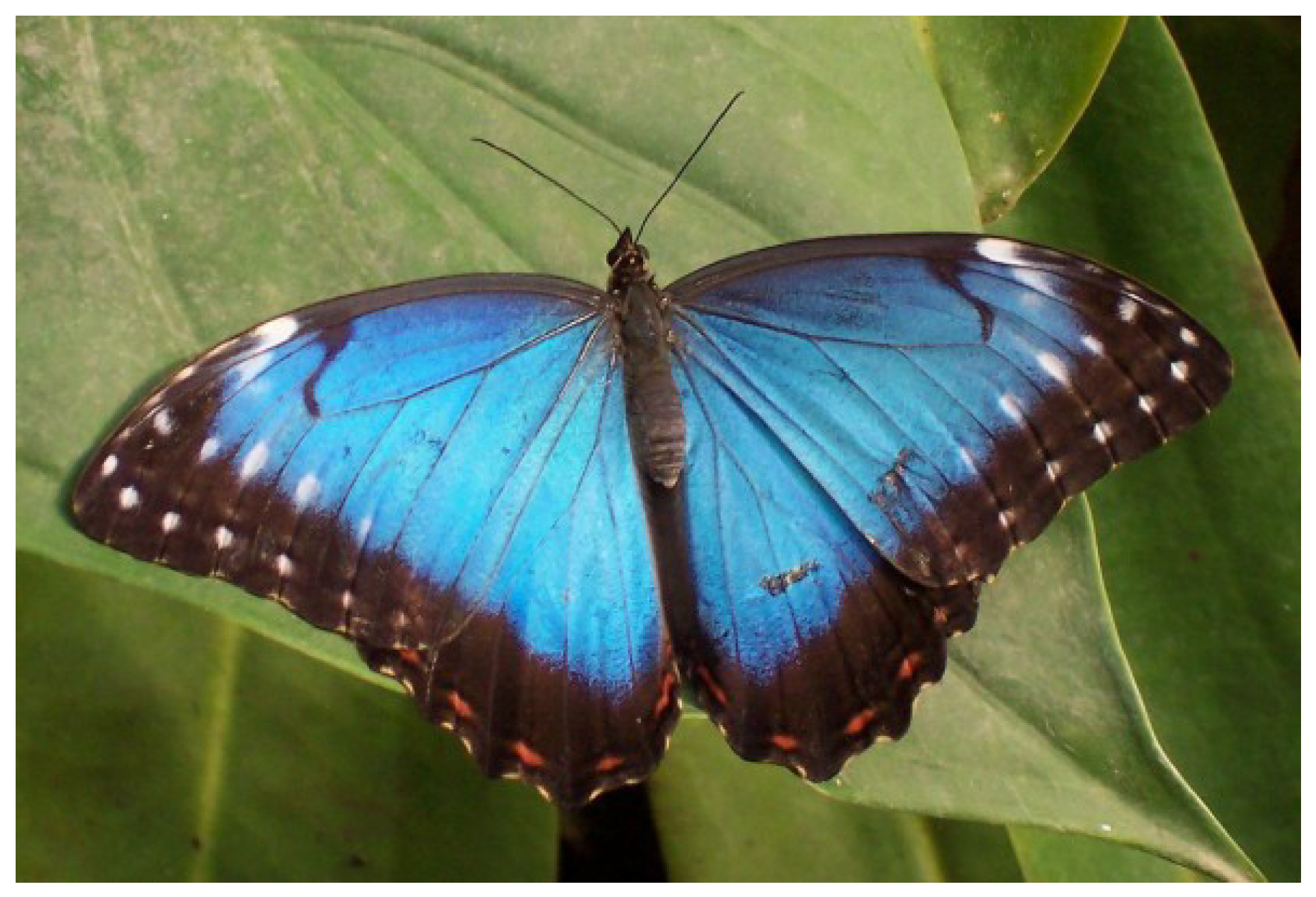 Machines 13 00829 g004 Machines 13 00829 g004