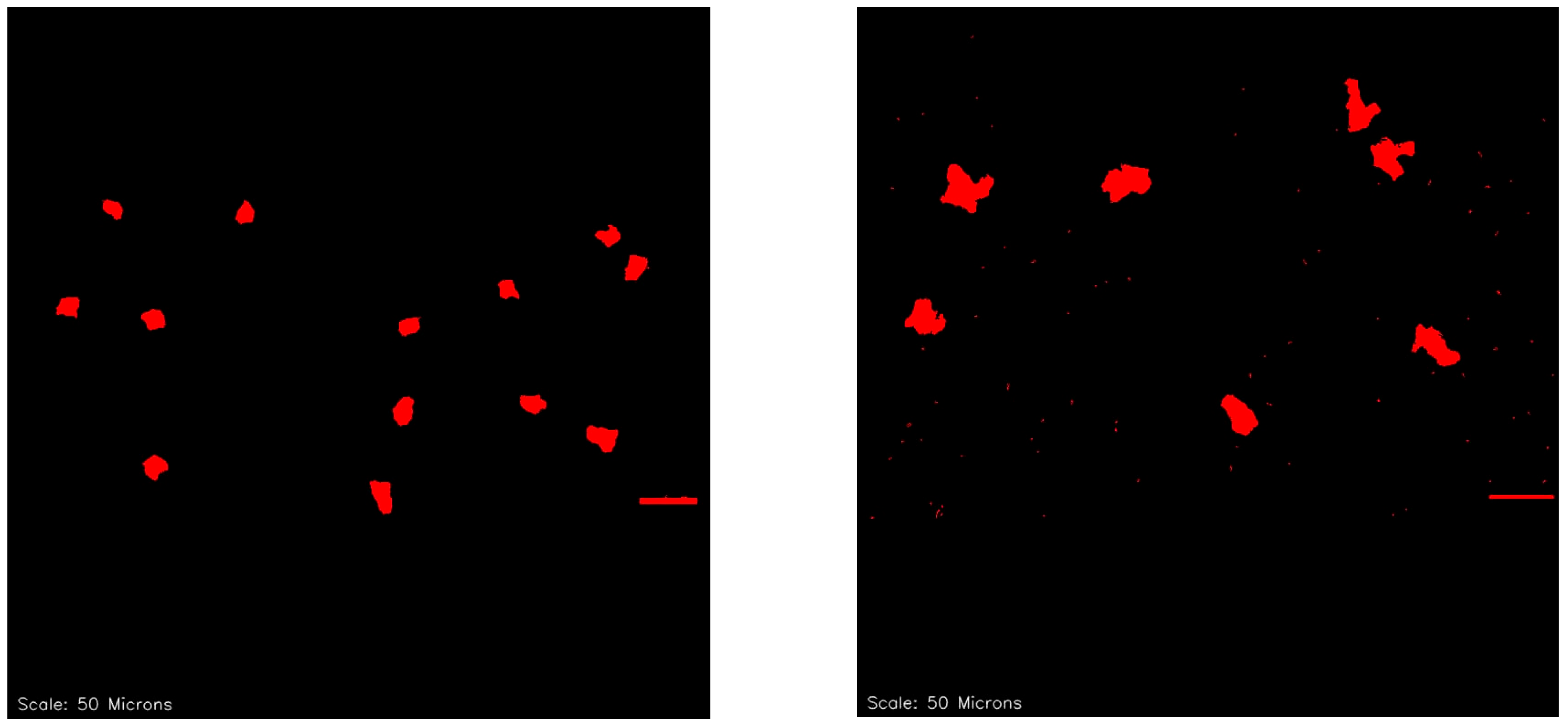 Machines 13 00906 g003b Machines 13 00906 g003b