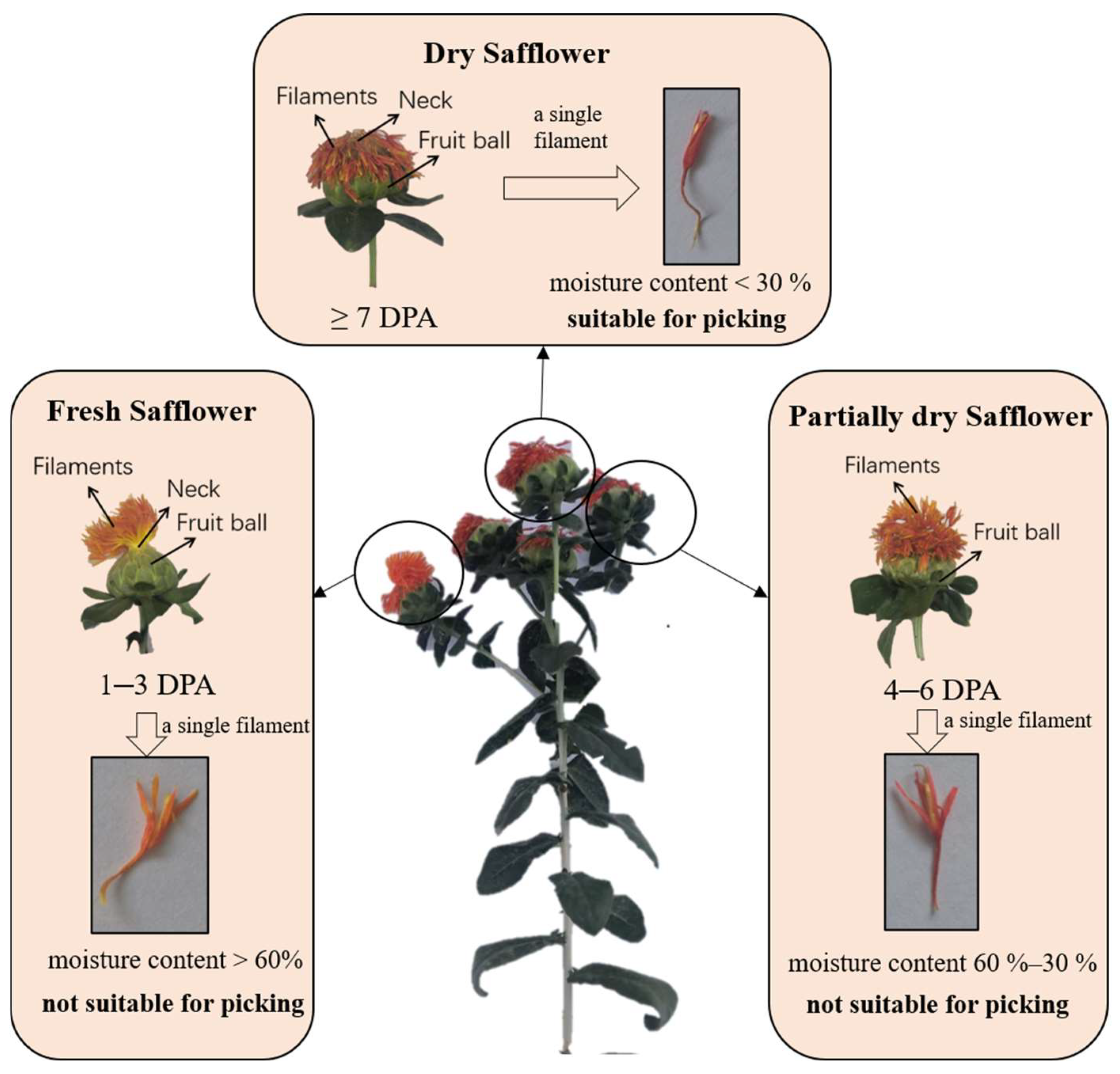 Machines 13 01039 g001 Machines 13 01039 g001