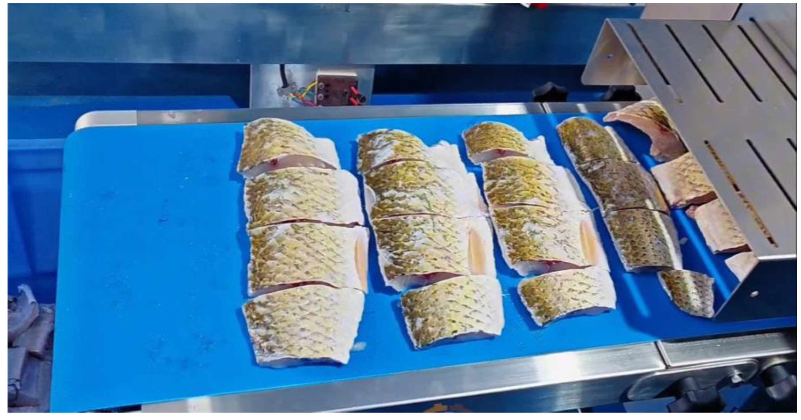 Machines 13 01081 g011