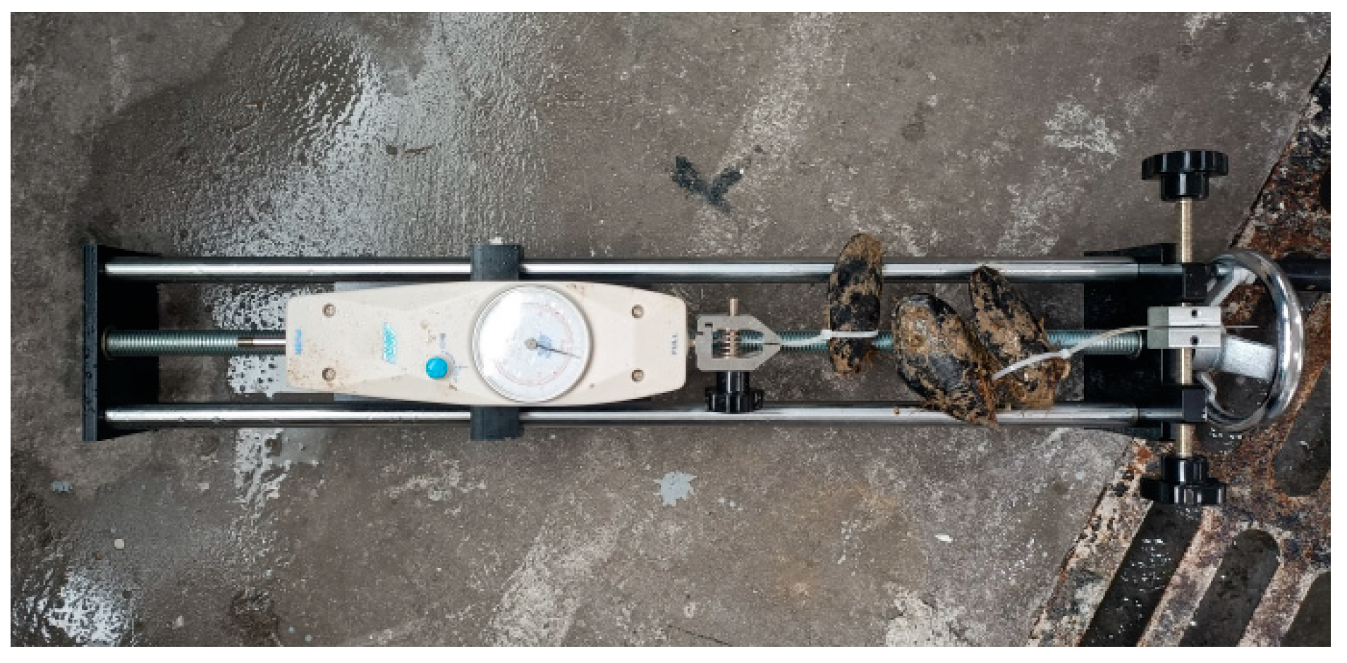 Machines 14 00086 g004