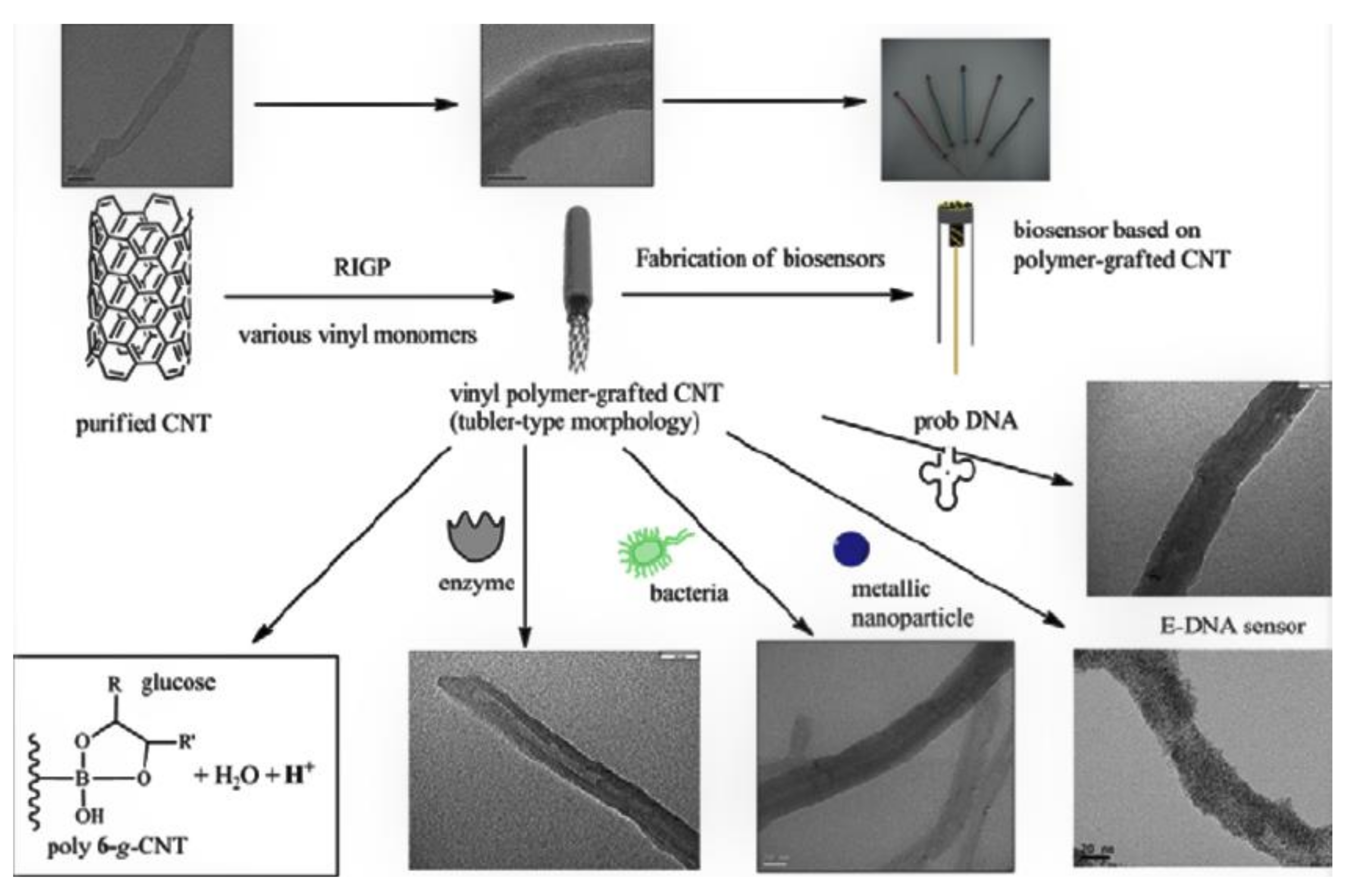 Macromol 01 00006 g007 Macromol 01 00006 g007