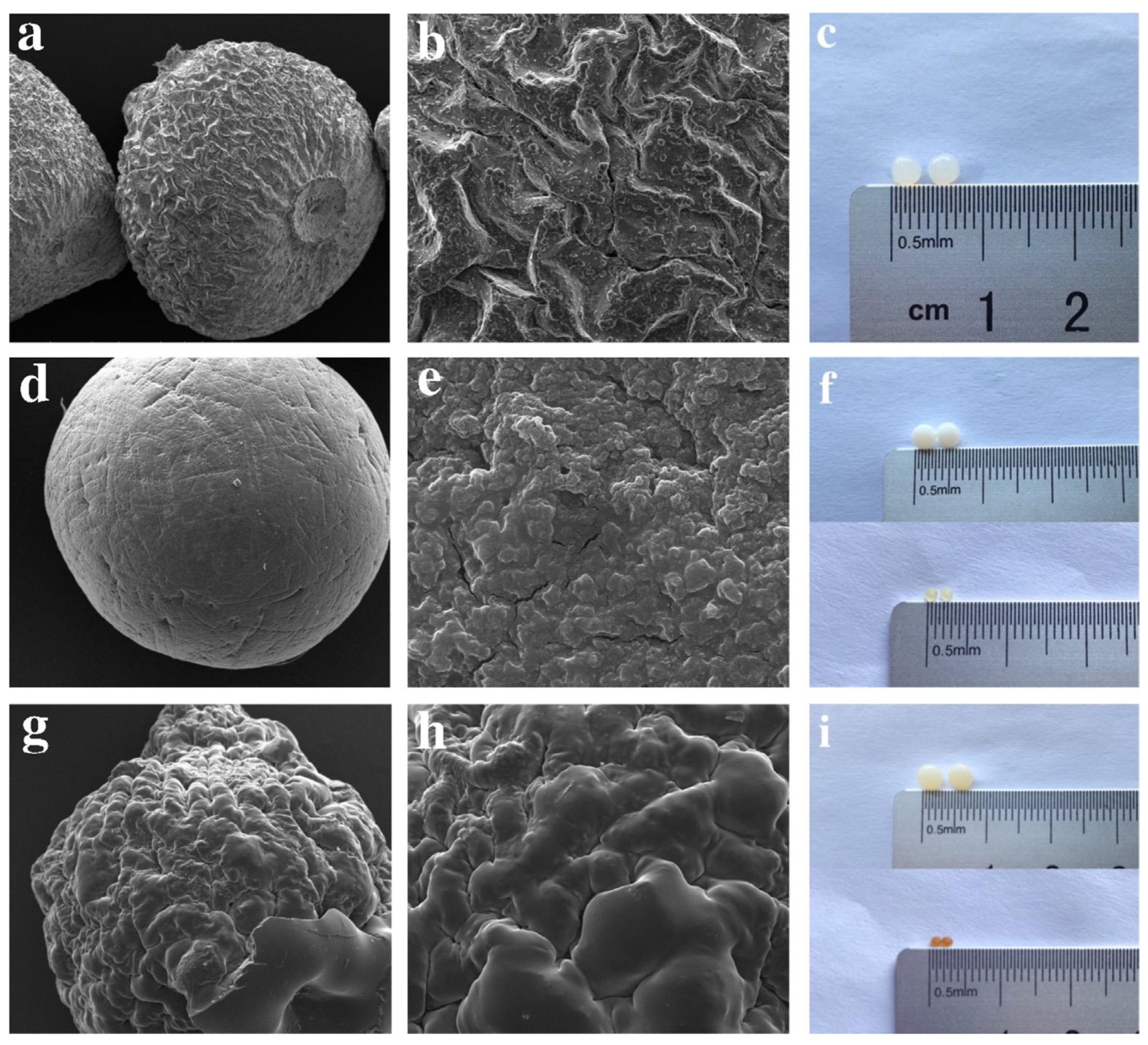Macromol 01 00011 g001