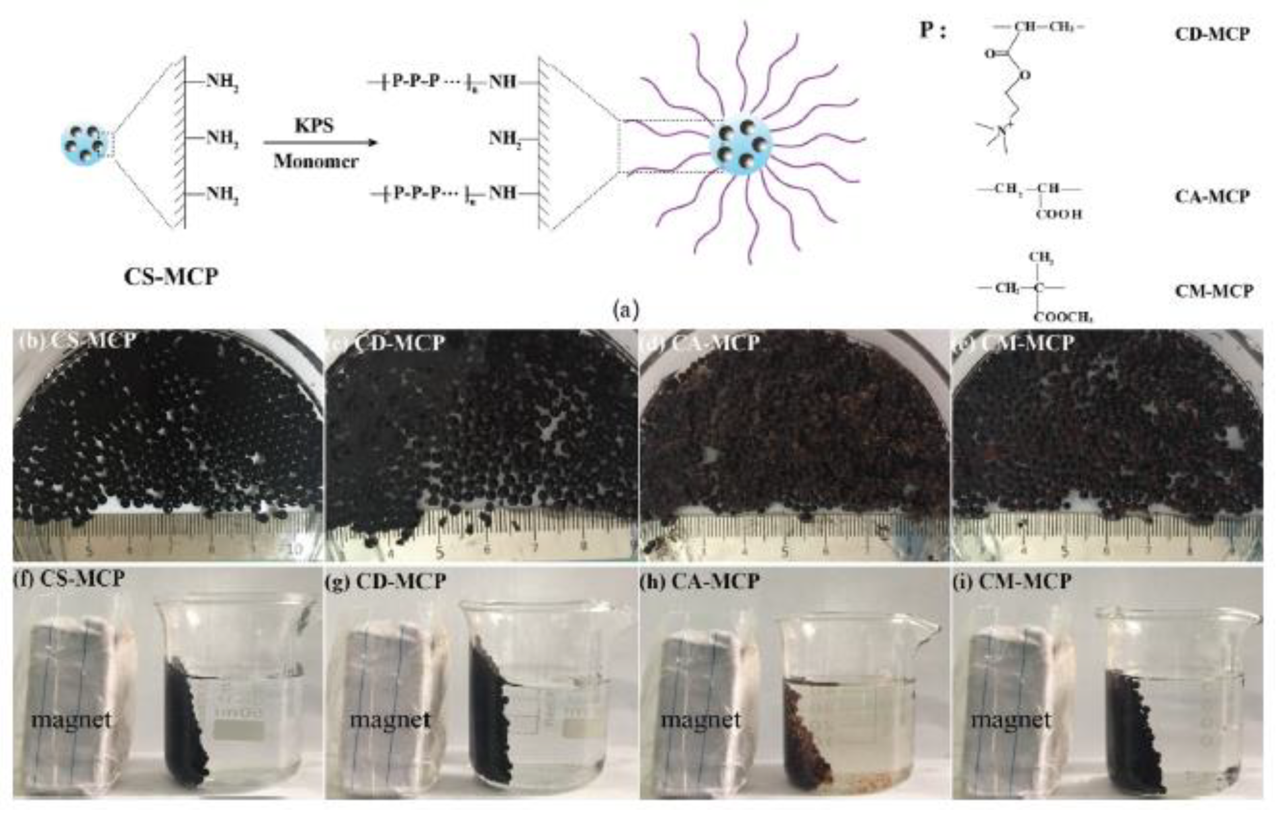 Macromol 01 00011 g003
