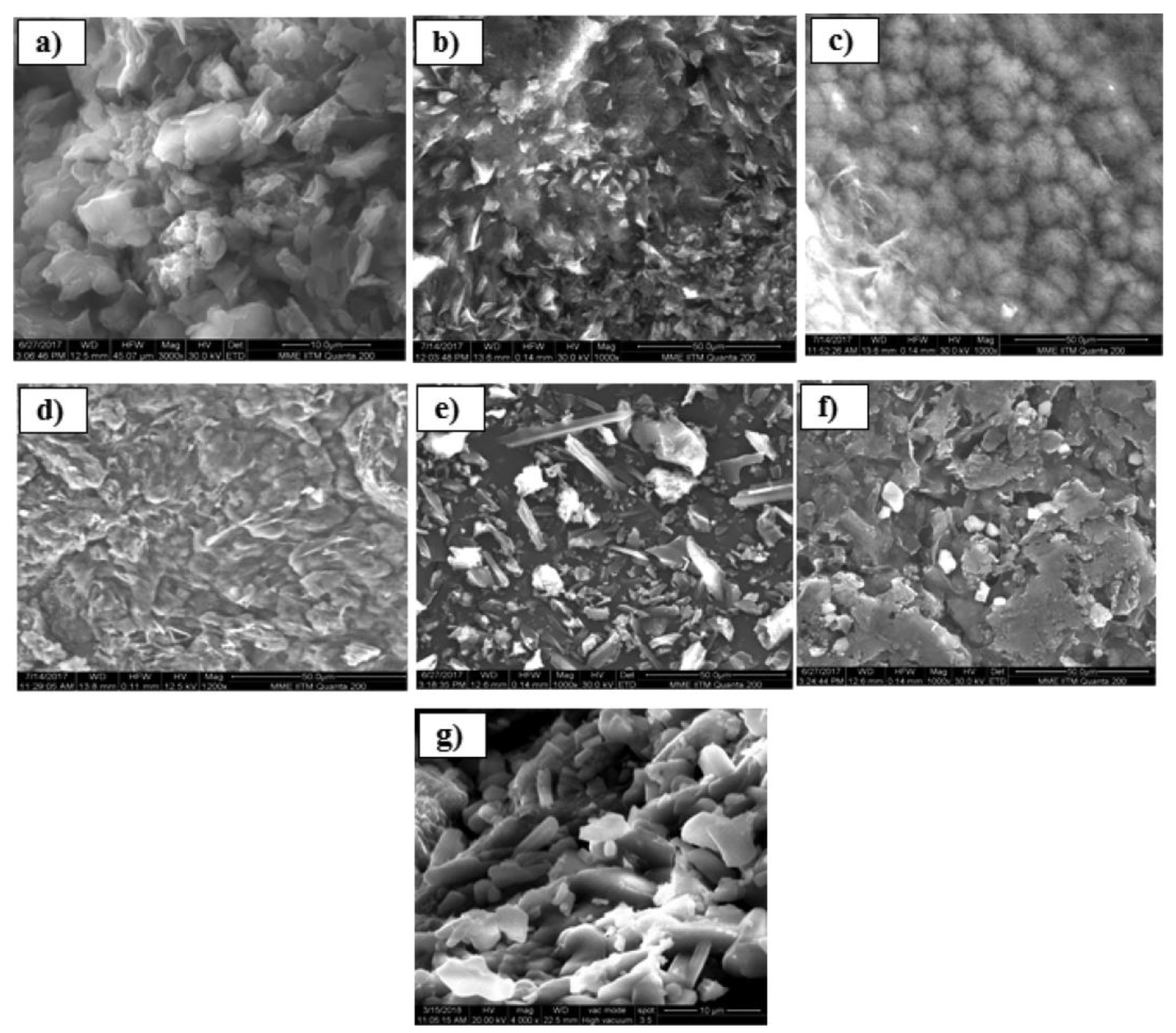 Macromol 01 00011 g005