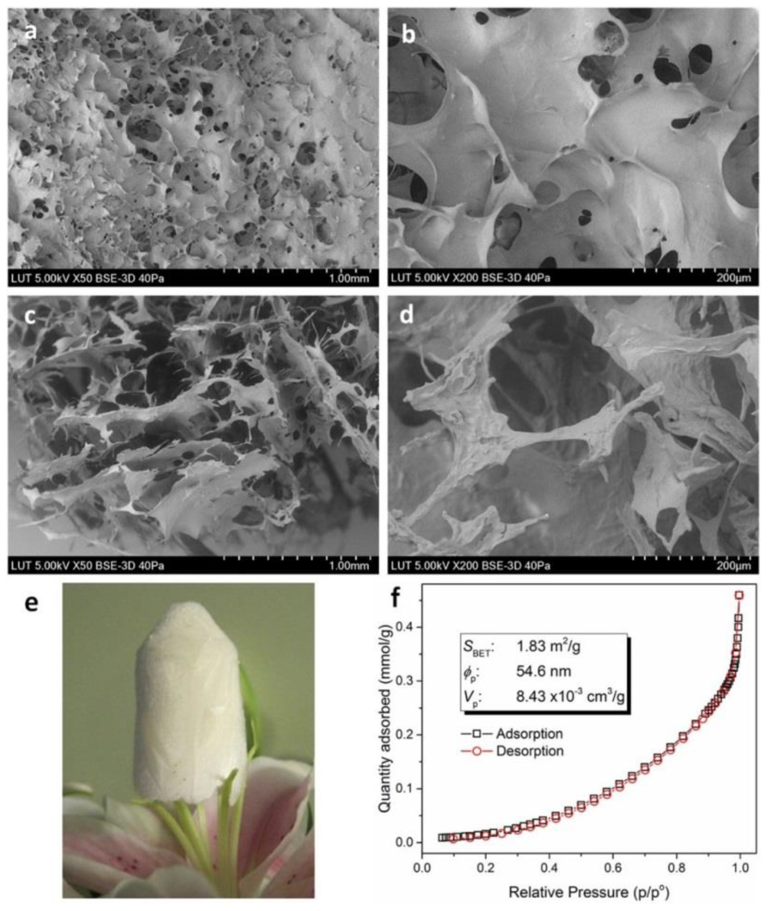 Macromol 01 00011 g006