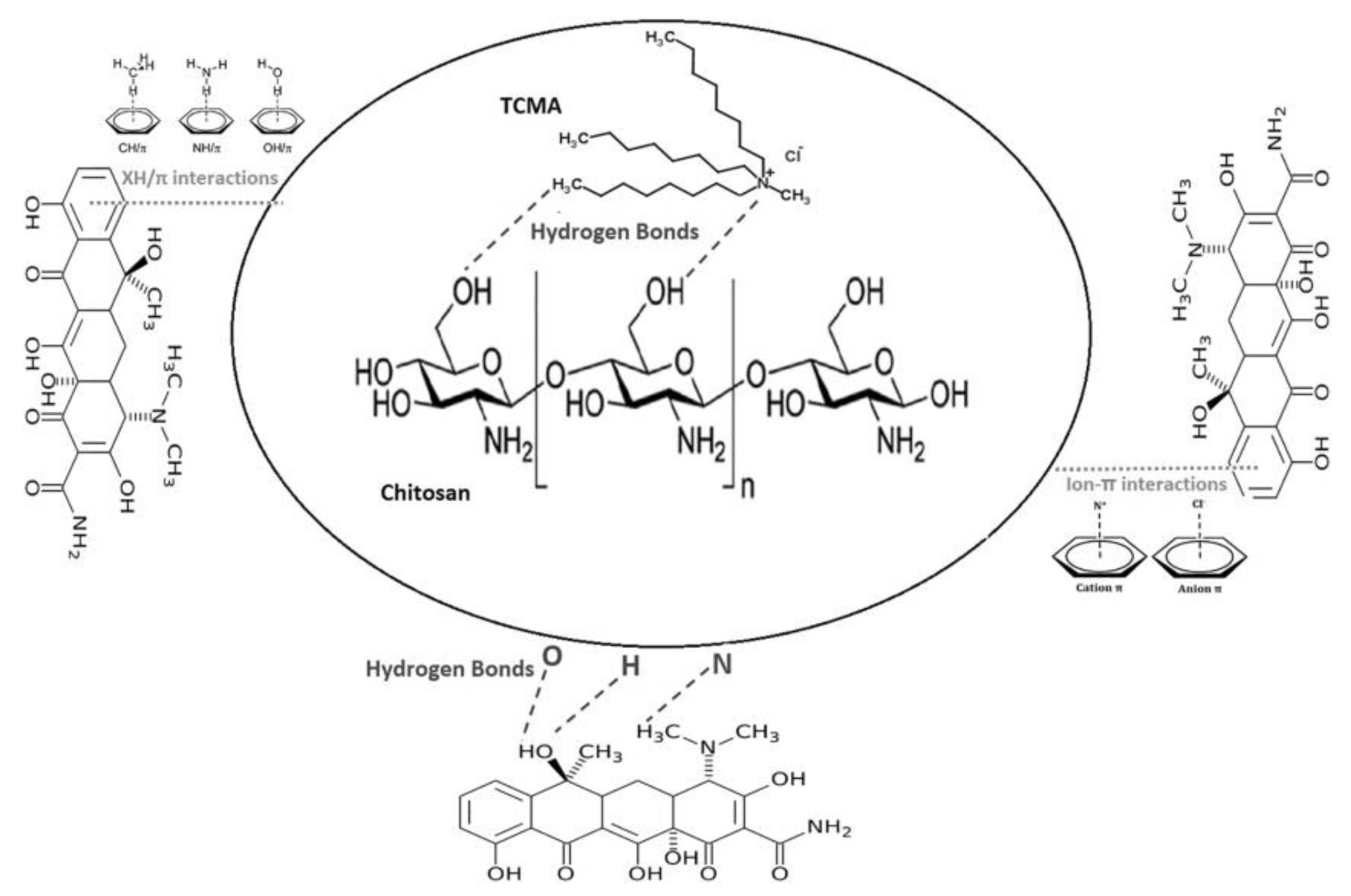 Macromol 01 00011 g012