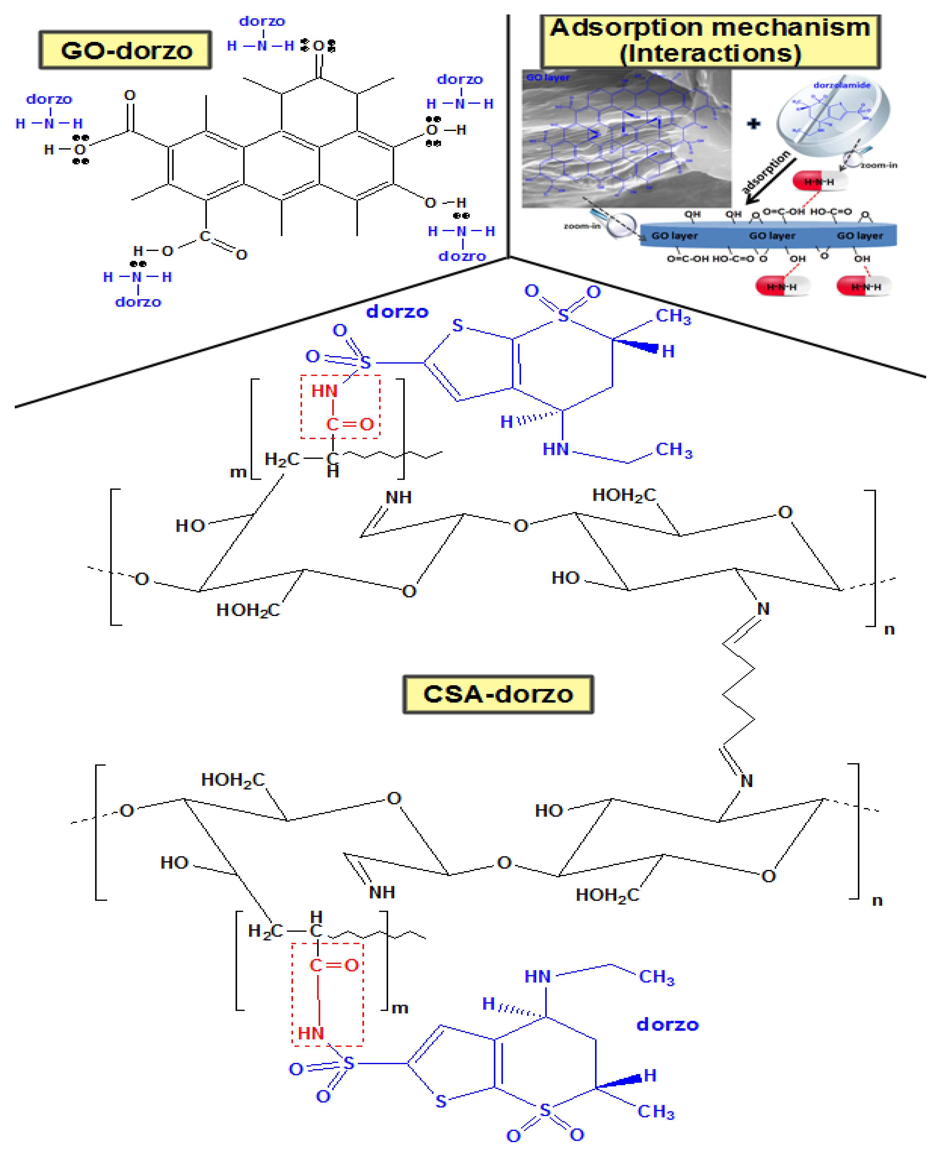 Macromol 01 00011 g016