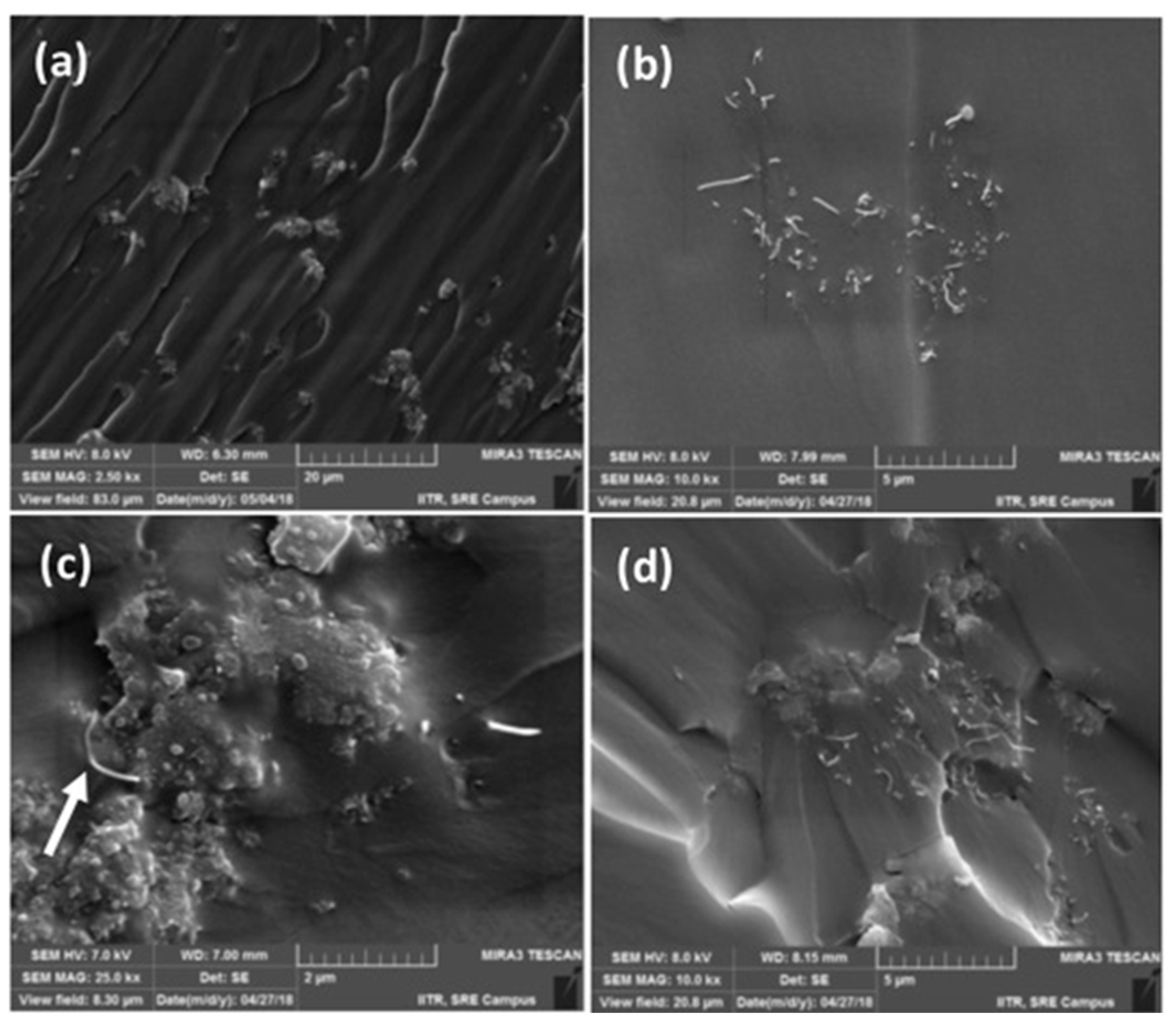 Macromol 01 00019 g001 Macromol 01 00019 g001
