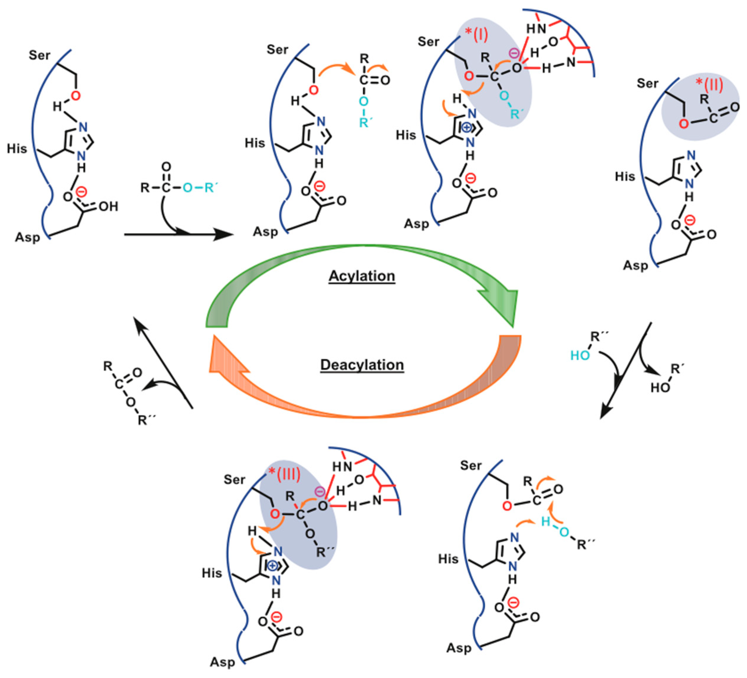 Macromol 02 00003 g006