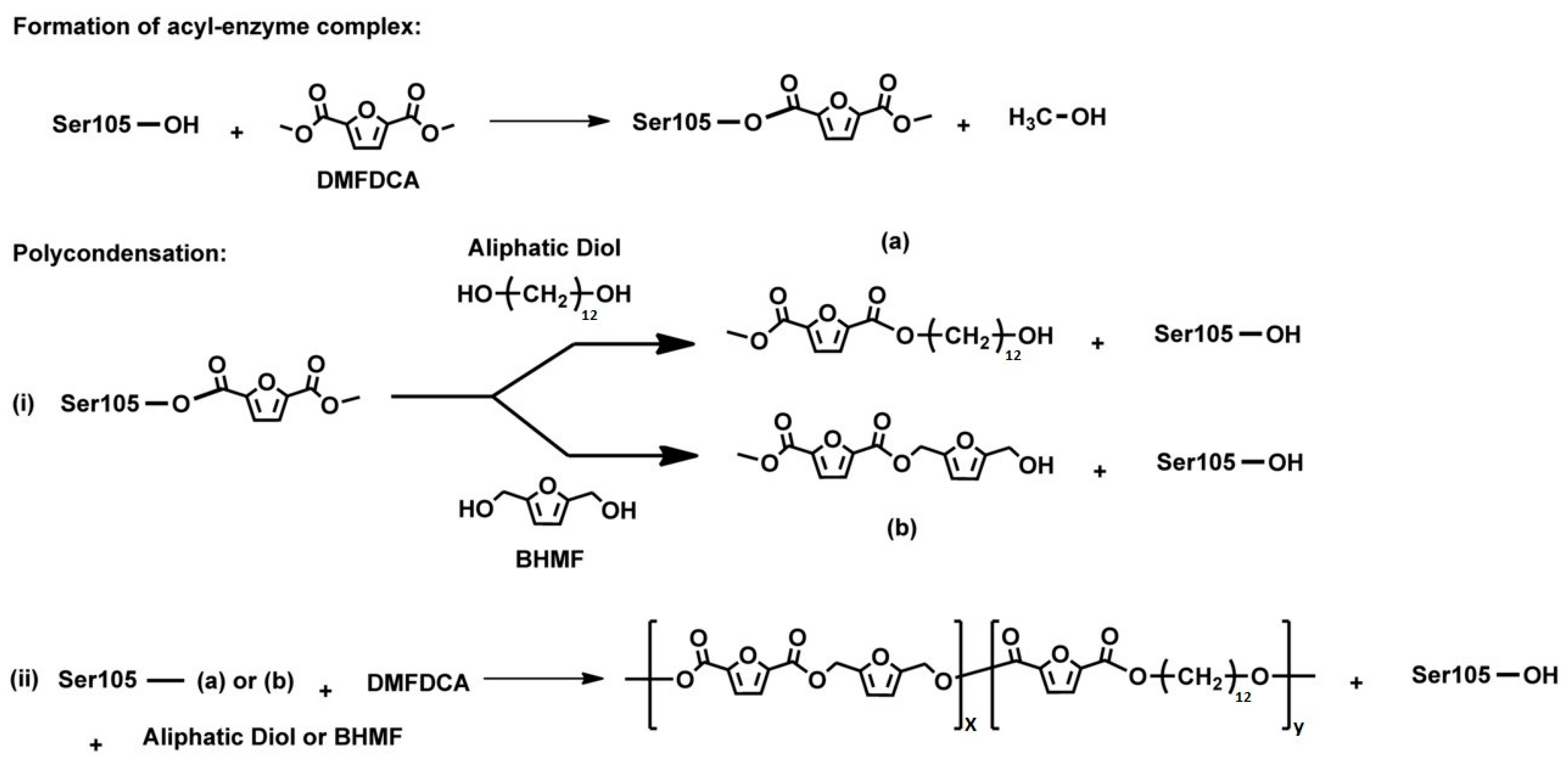Macromol 02 00003 g007