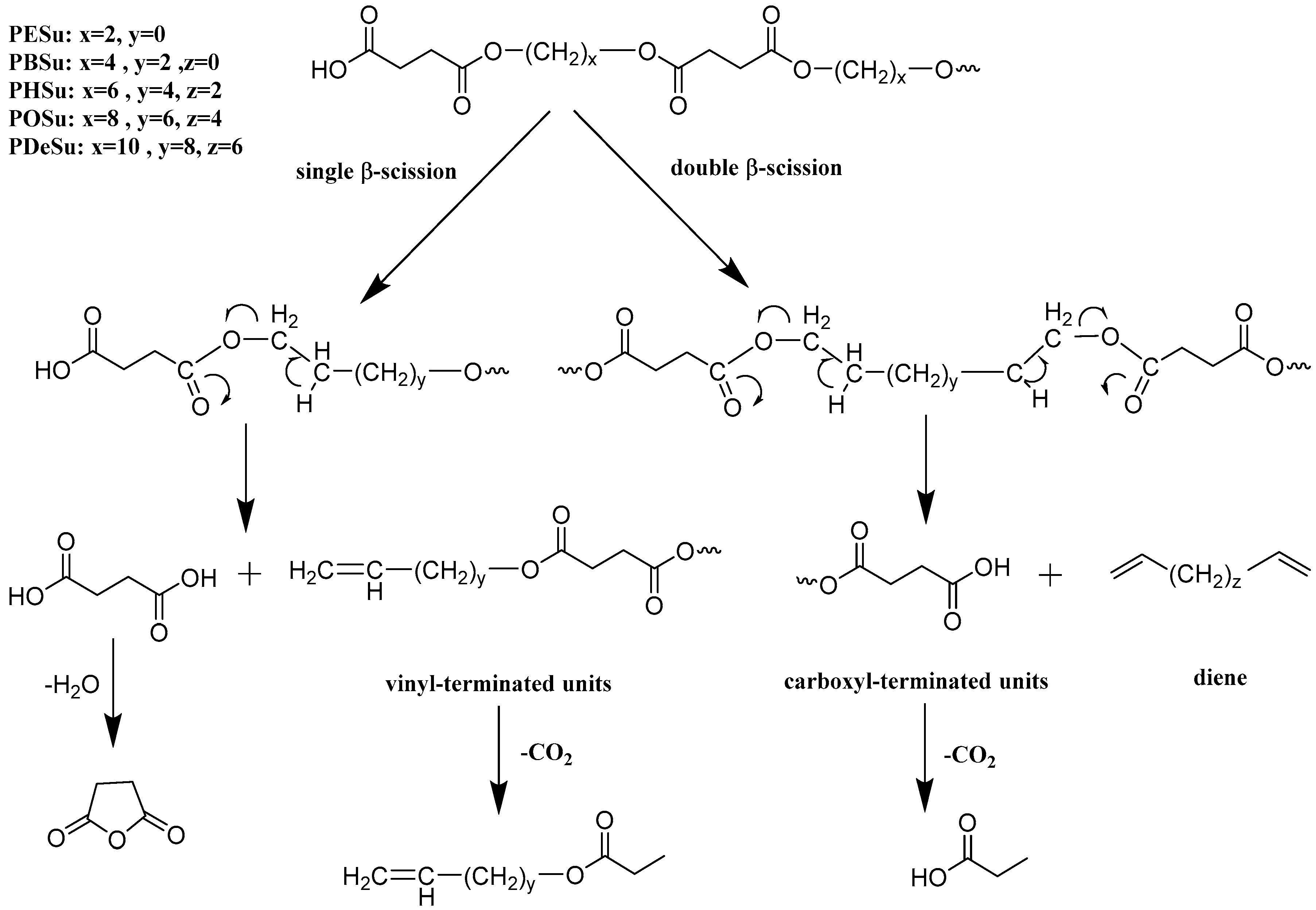 Macromol 02 00004 sch003 Macromol 02 00004 sch003