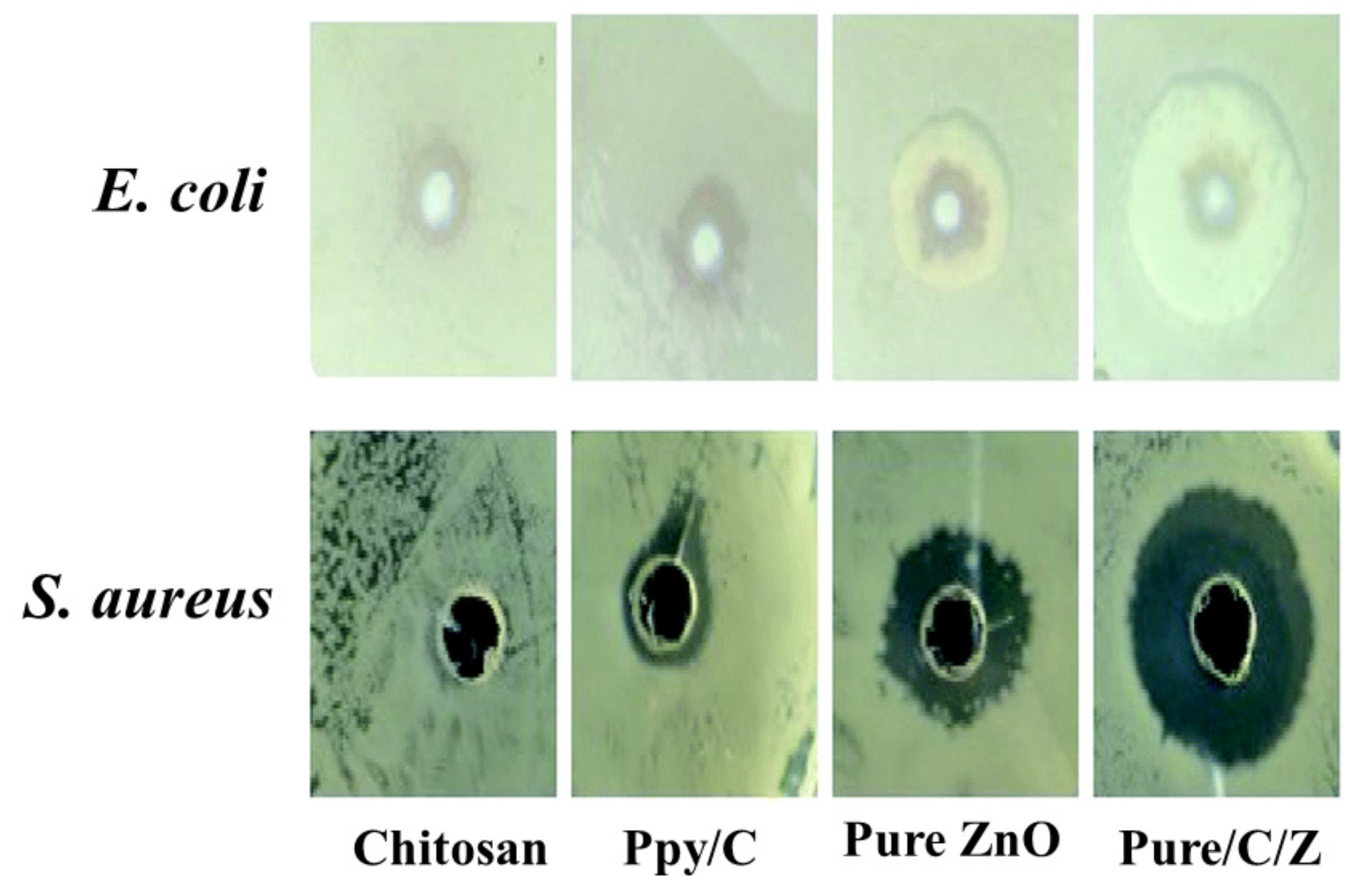 Macromol 02 00005 g002 Macromol 02 00005 g002