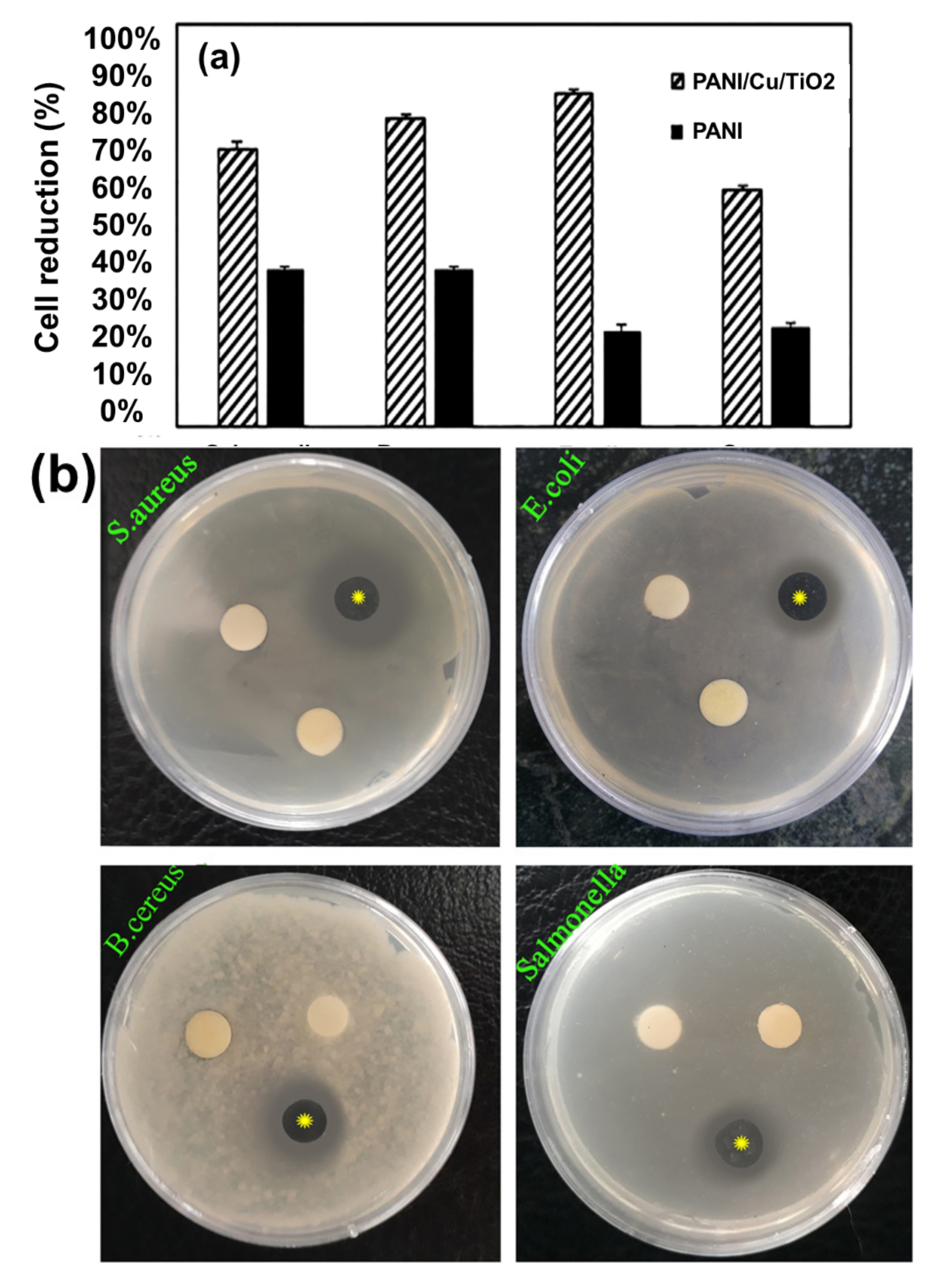 Macromol 02 00005 g004a Macromol 02 00005 g004a