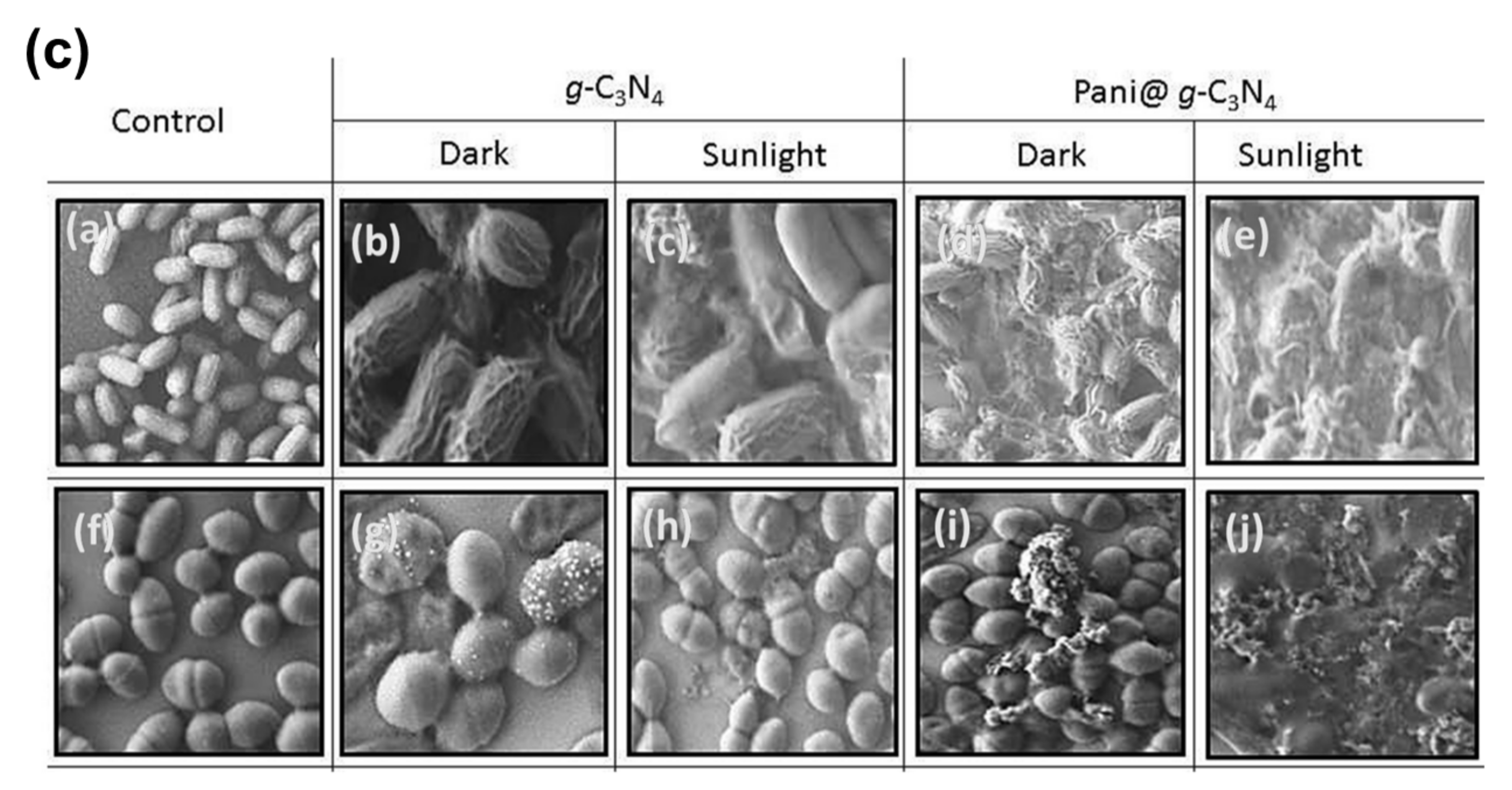 Macromol 02 00005 g004b Macromol 02 00005 g004b