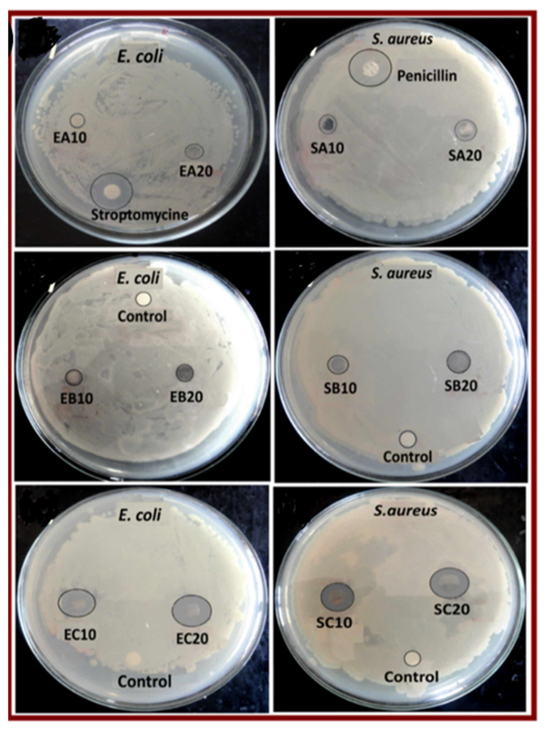 Macromol 02 00005 g005 Macromol 02 00005 g005