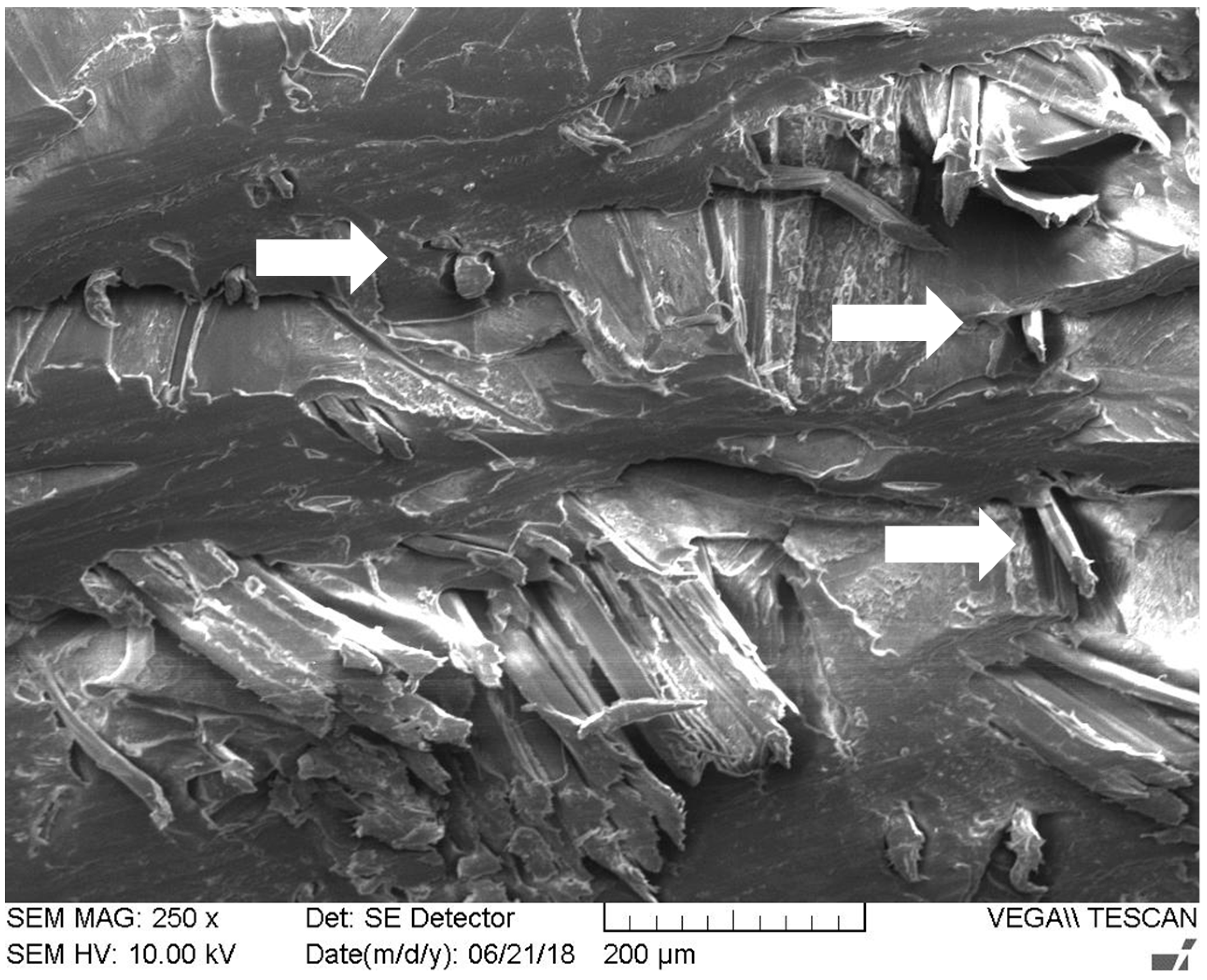 Macromol 02 00017 g009