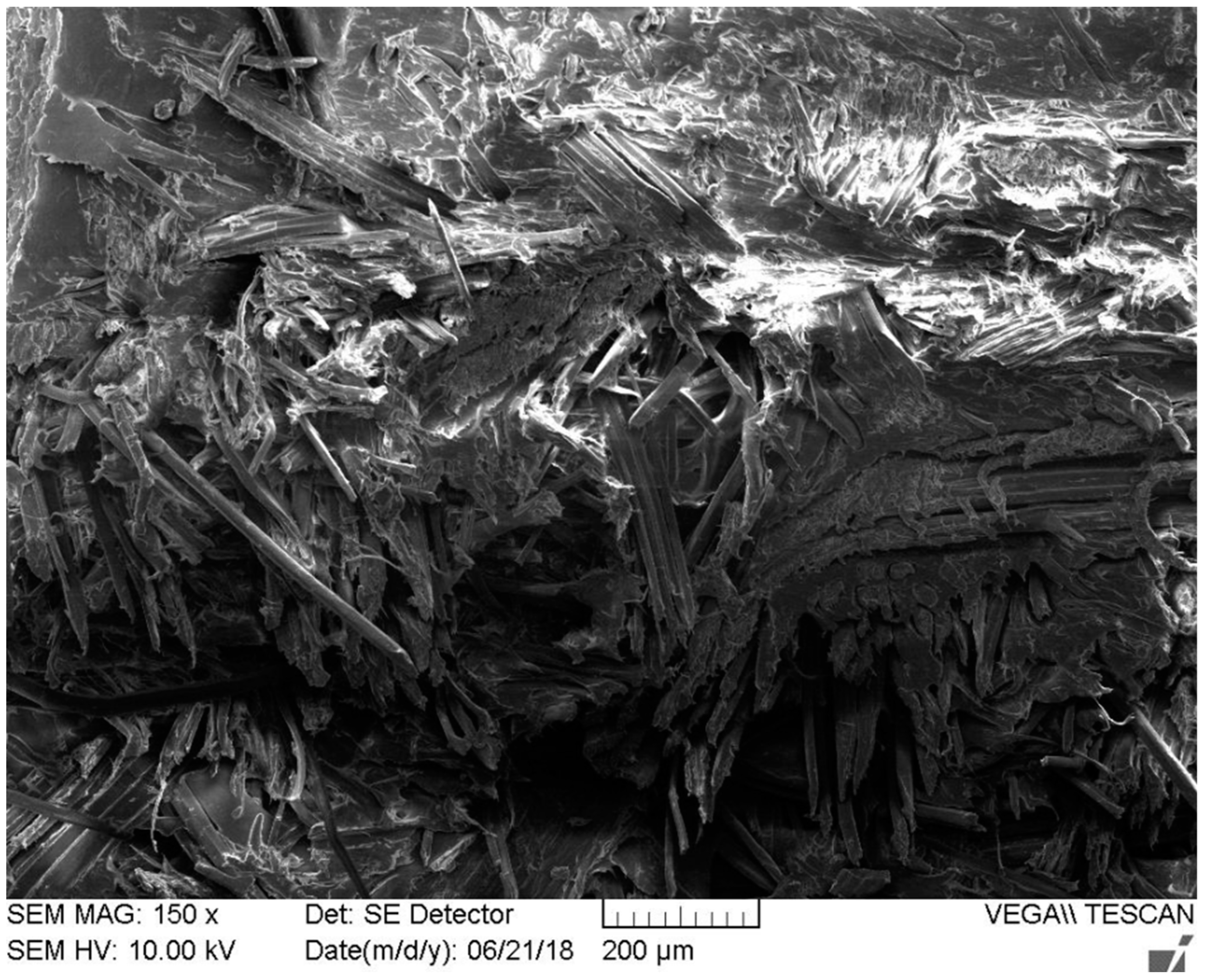 Macromol 02 00017 g010