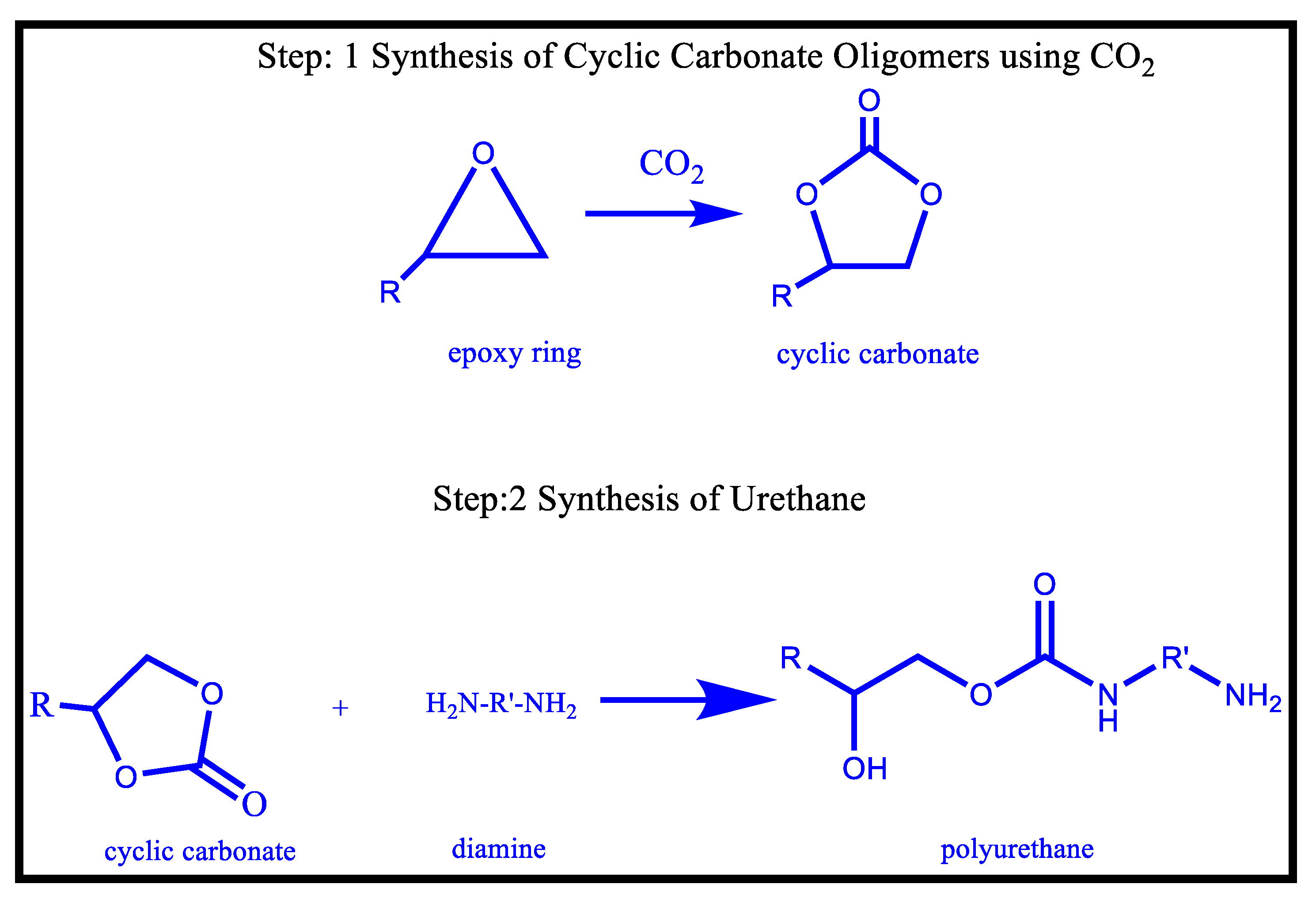 Macromol 02 00019 g011