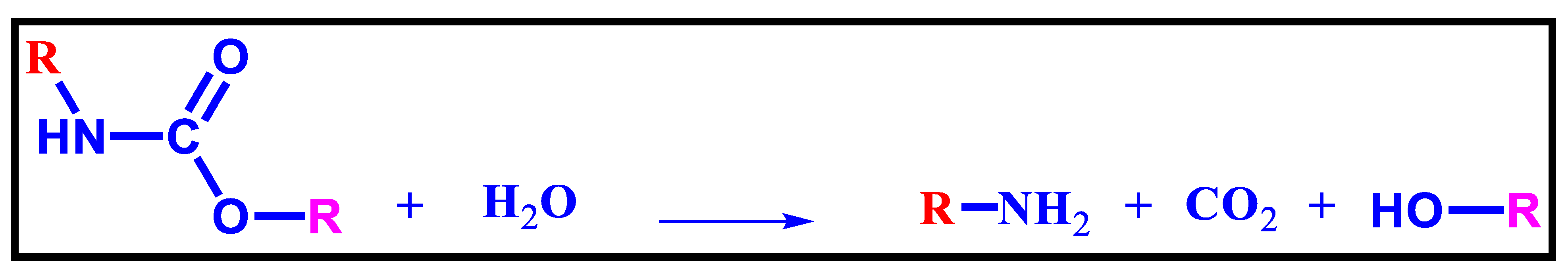Macromol 02 00019 g012