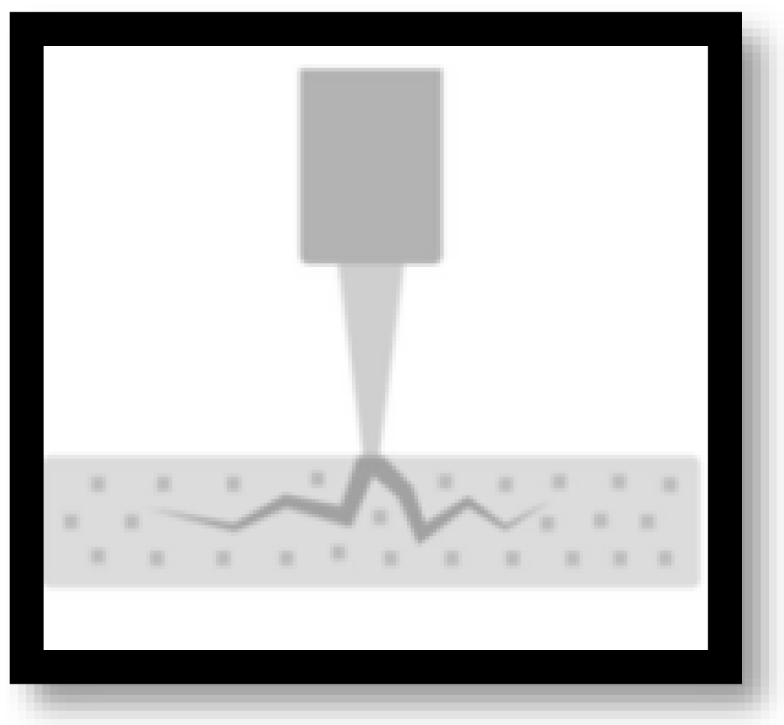 Macromol 02 00019 i005