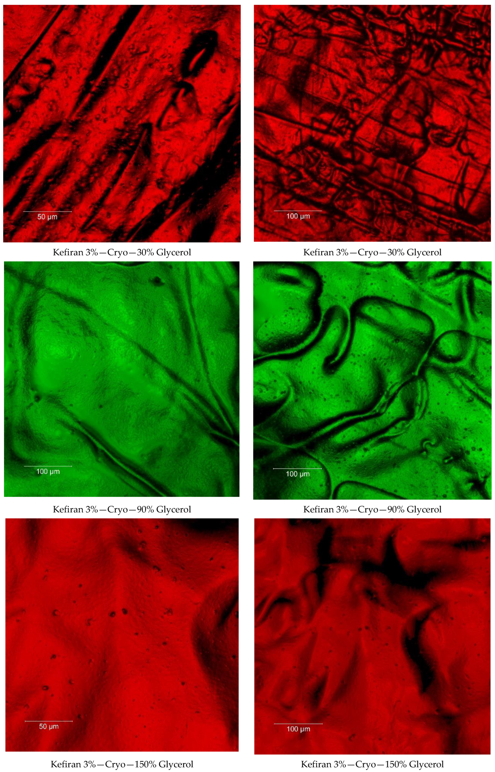 Macromol 02 00021 g015