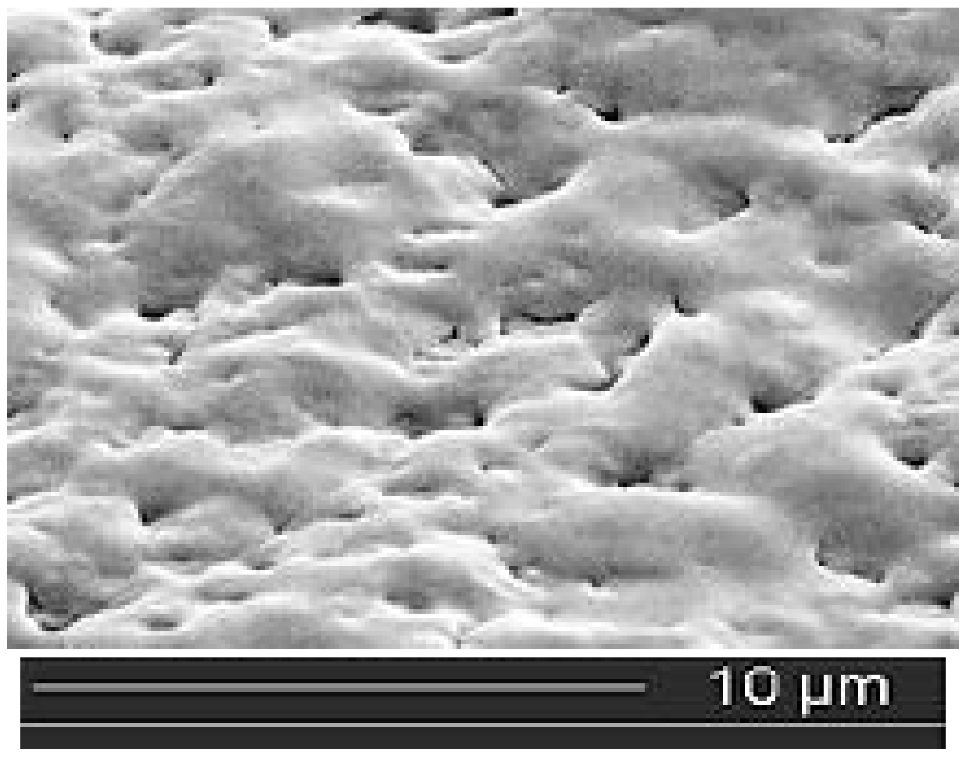 Macromol 02 00028 g001