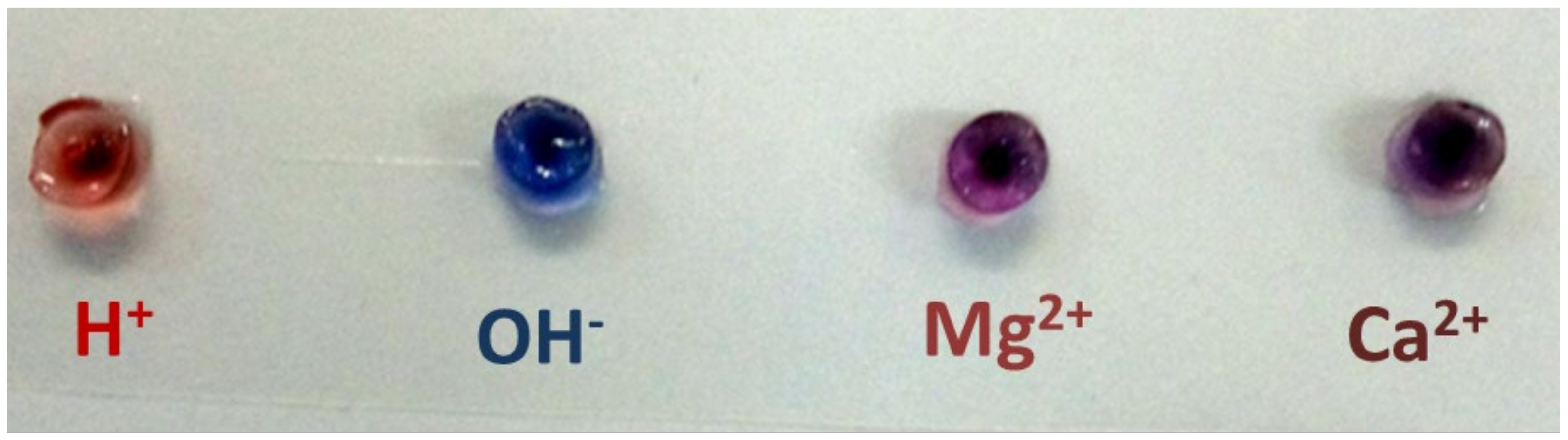 Macromol 02 00028 g008