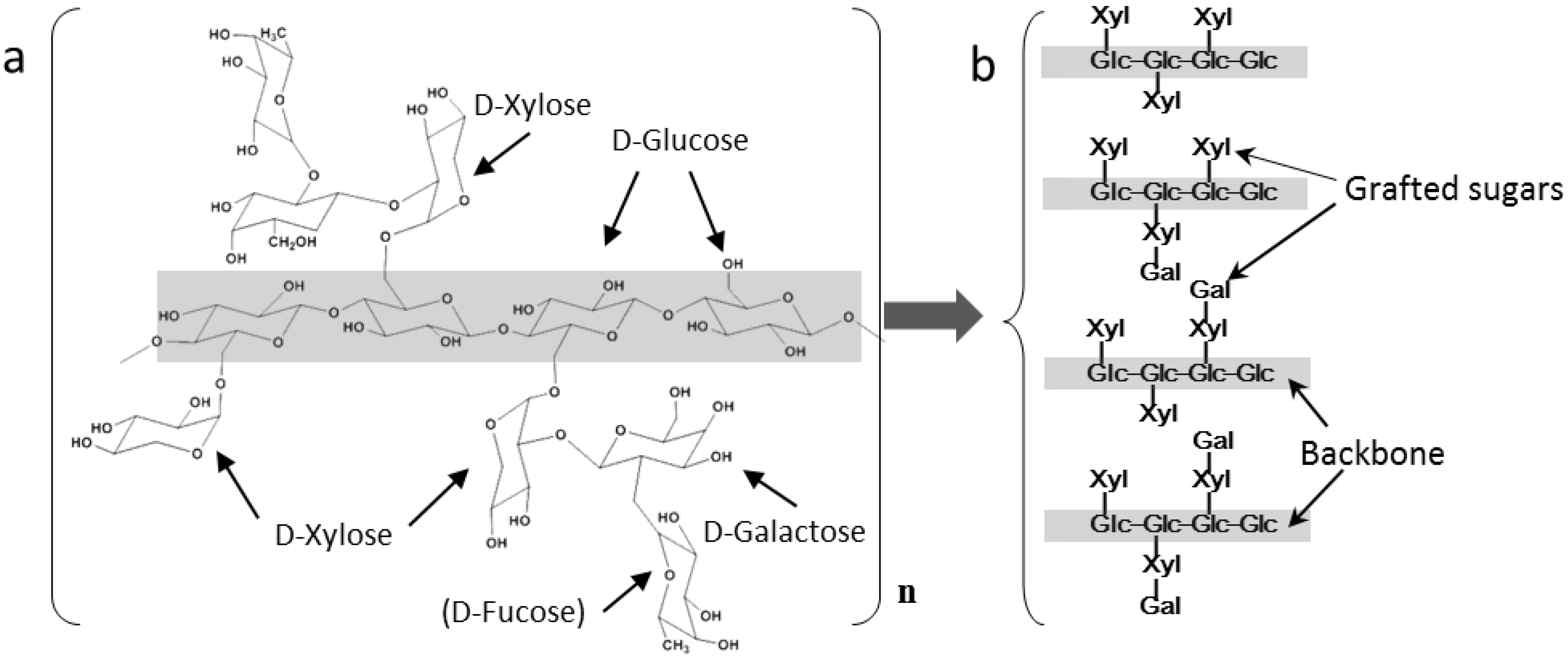 Macromol 02 00037 g001