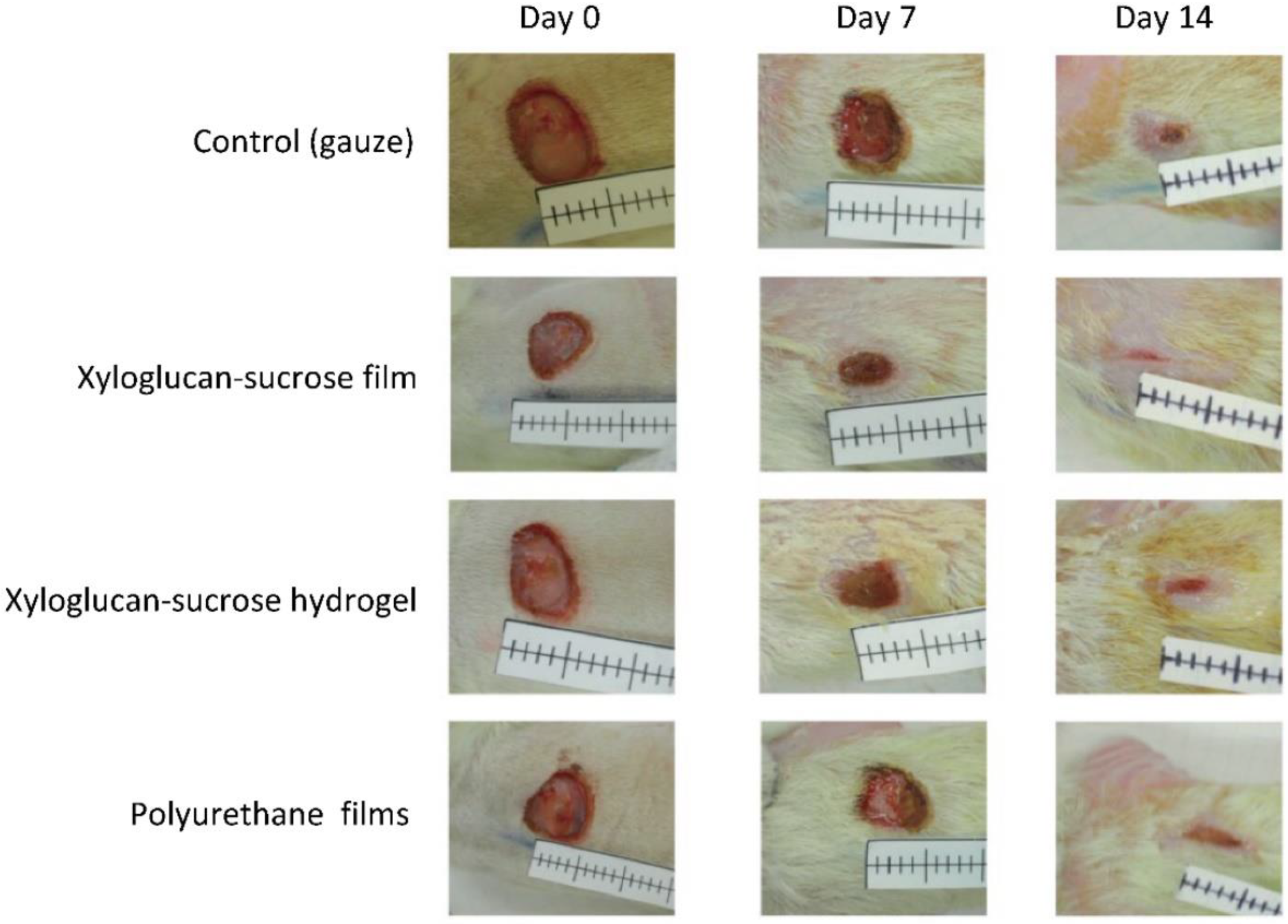 Macromol 02 00037 g006