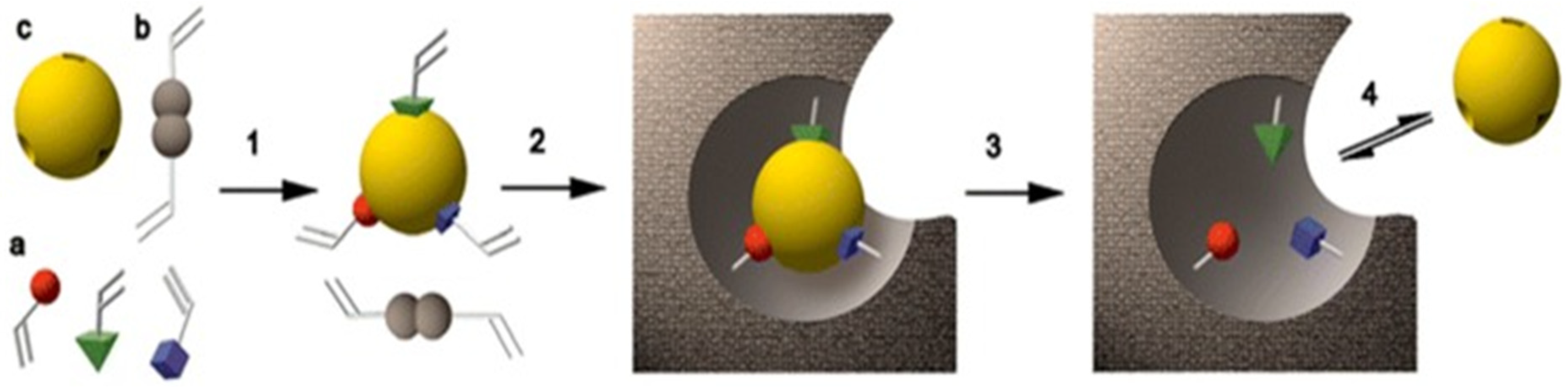 Macromol 03 00008 g001