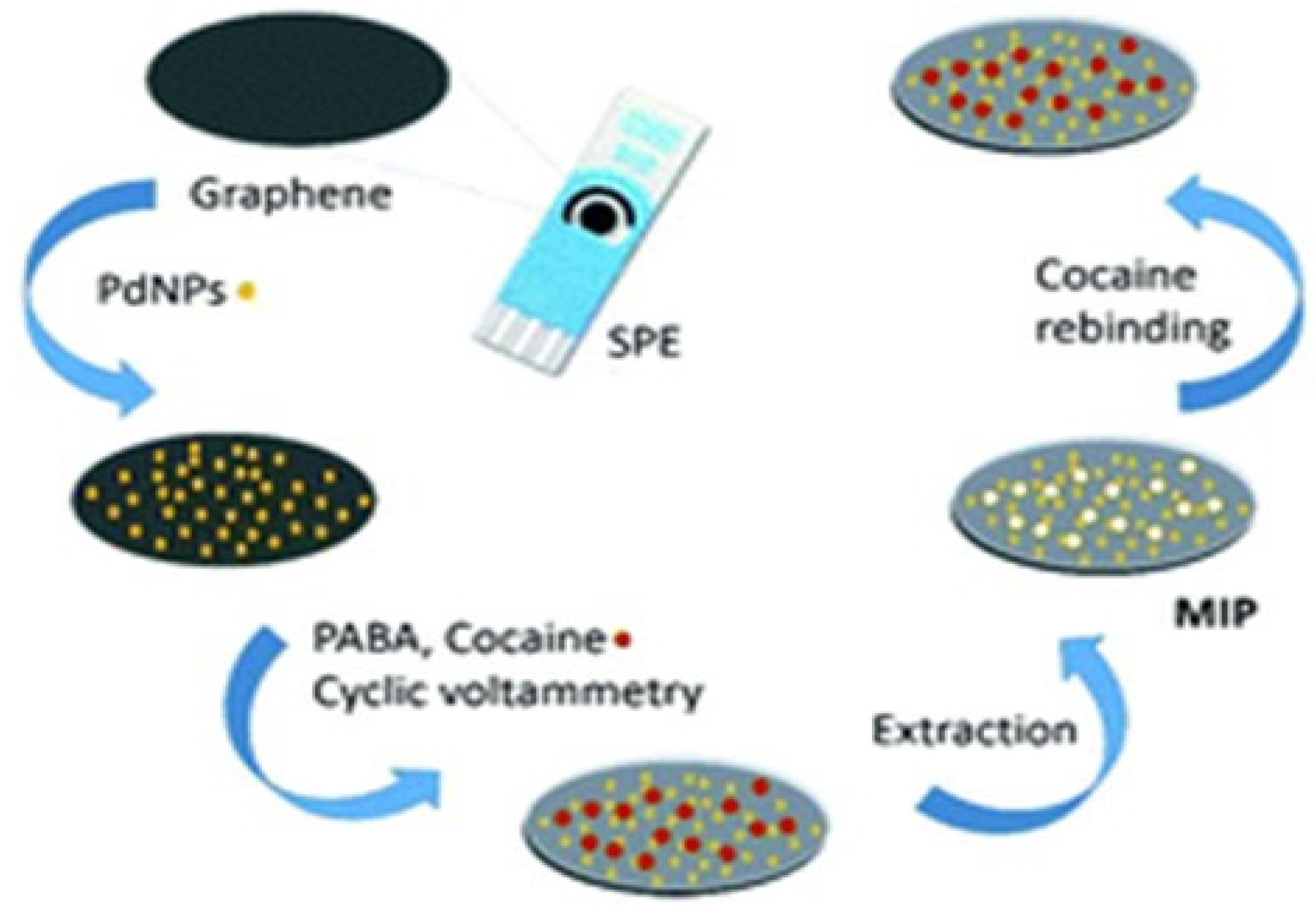 Macromol 03 00008 g002