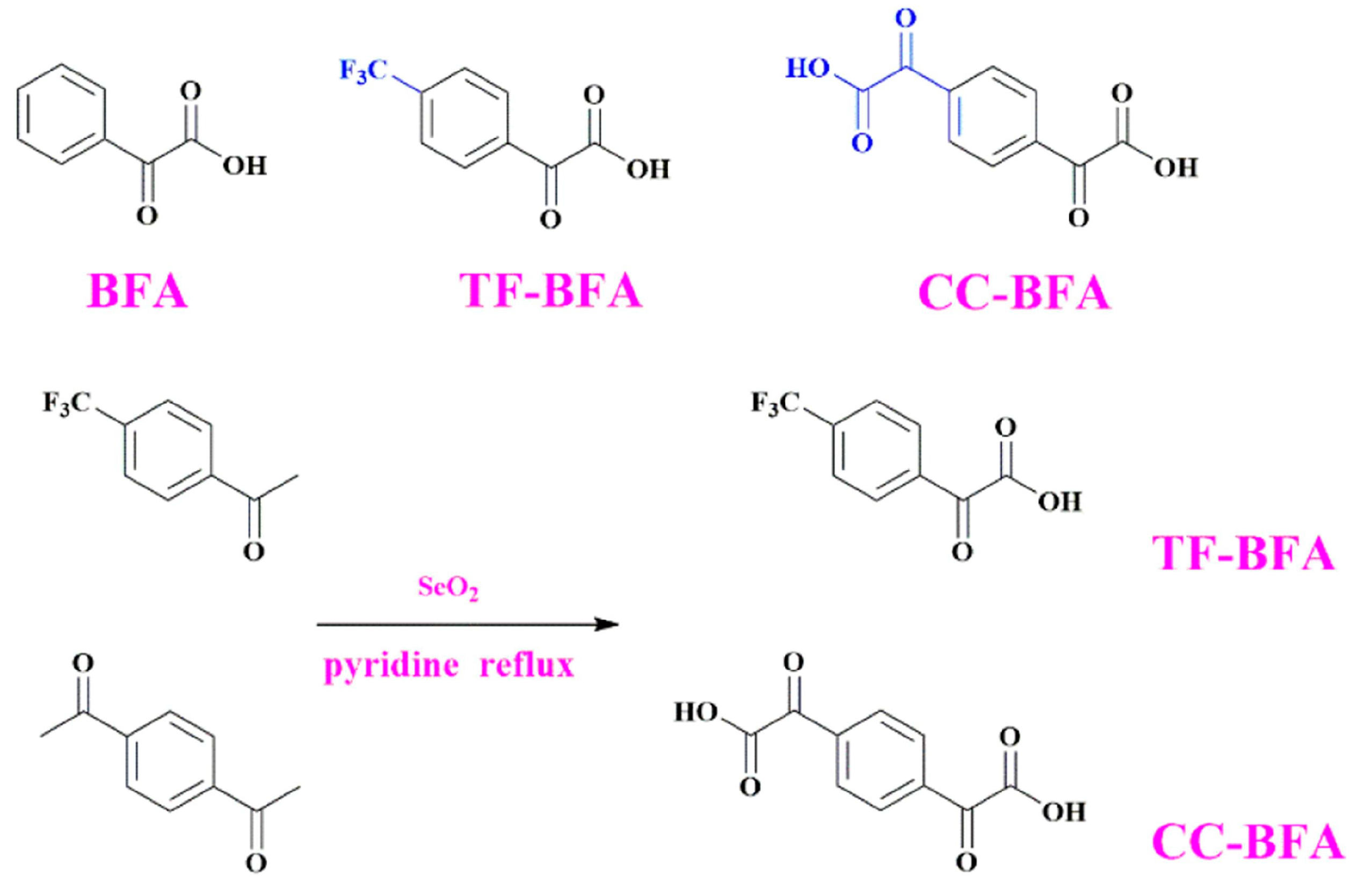 Macromol 03 00010 g016