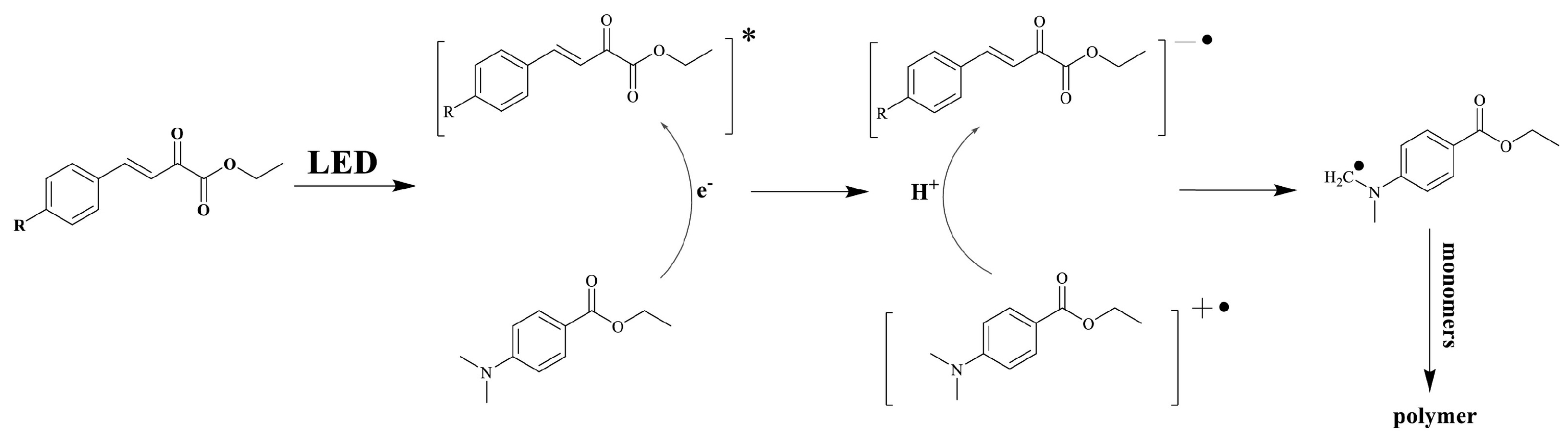 Macromol 03 00010 sch004