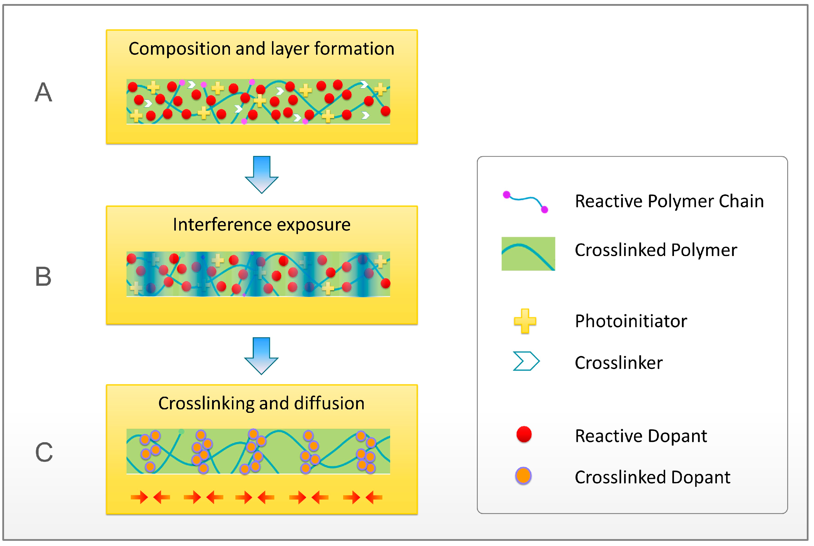 Macromol 03 00013 g001