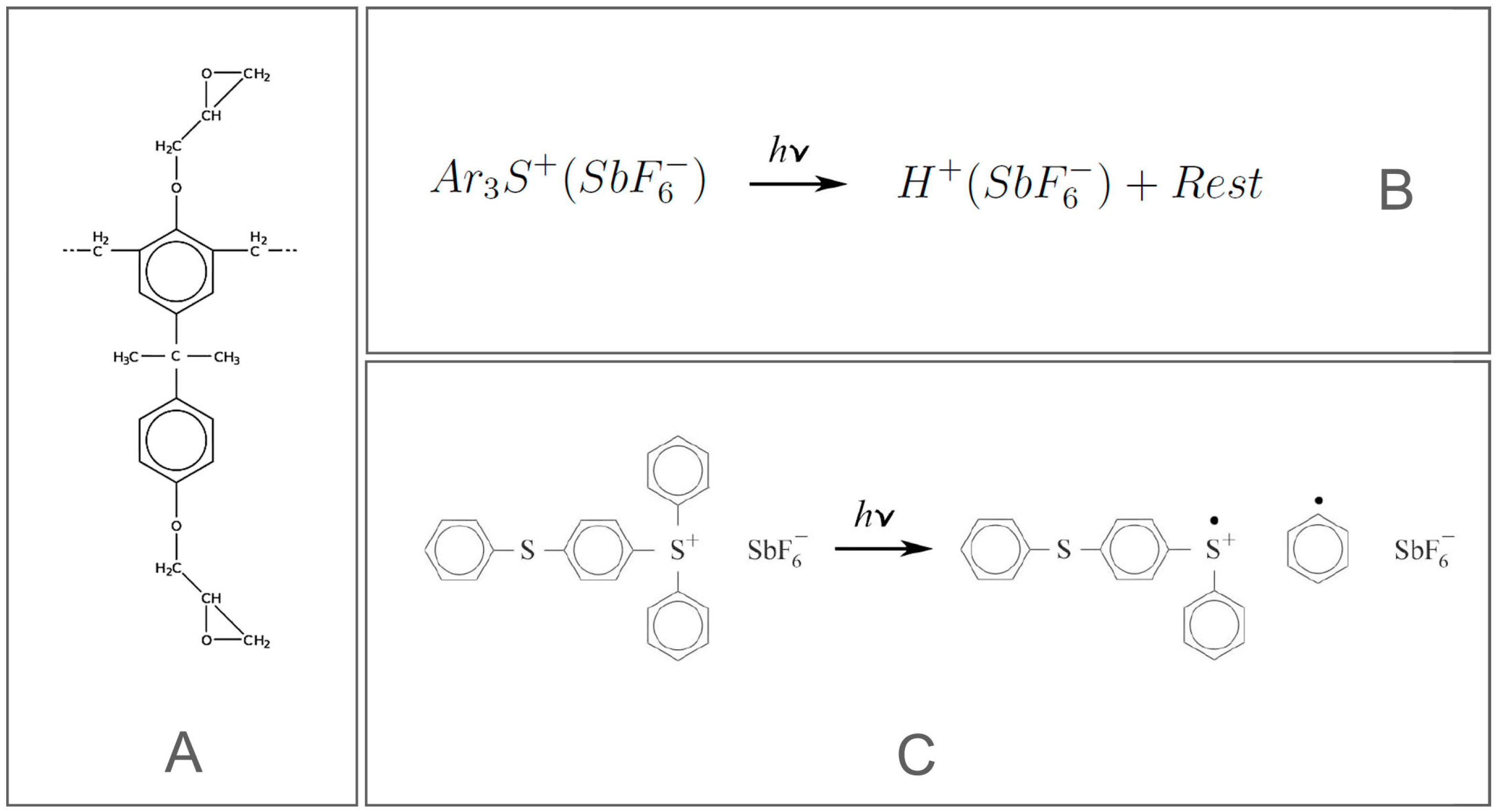 Macromol 03 00013 g002